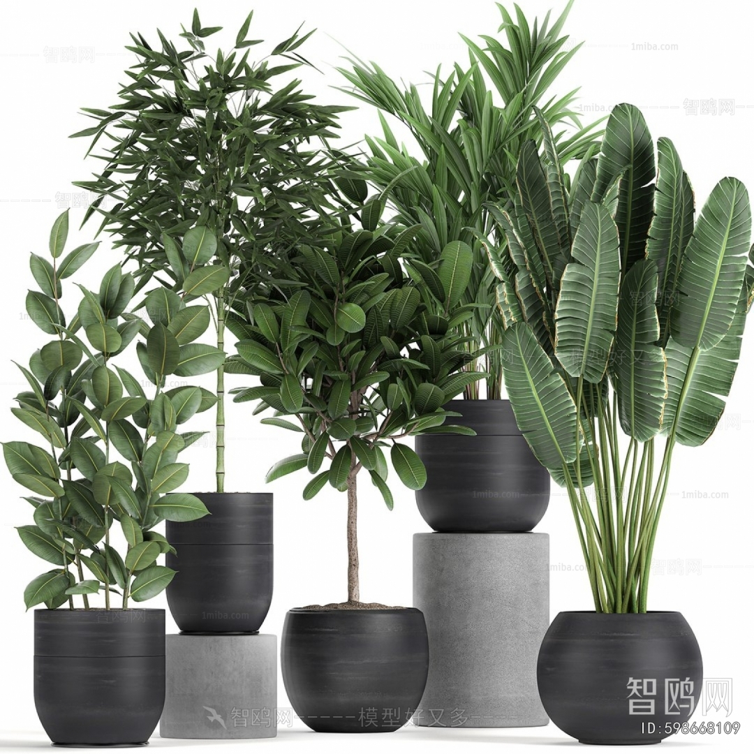 Modern Ground Green Plant Potted Plants