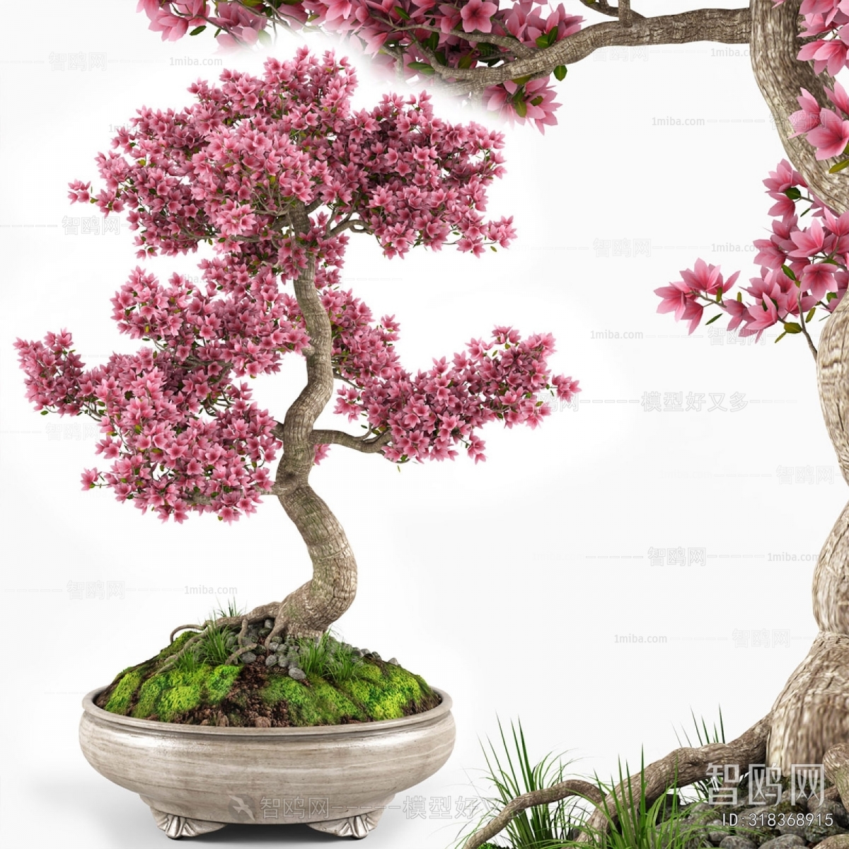 Chinese Style Bonsai
