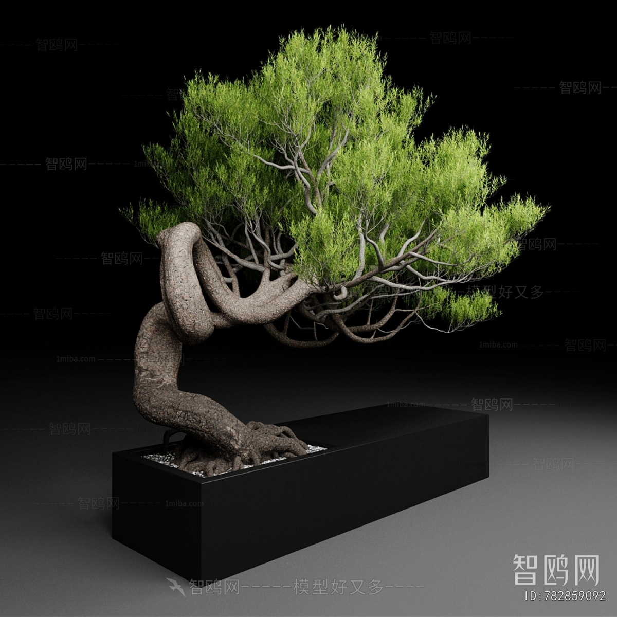 Modern Bonsai