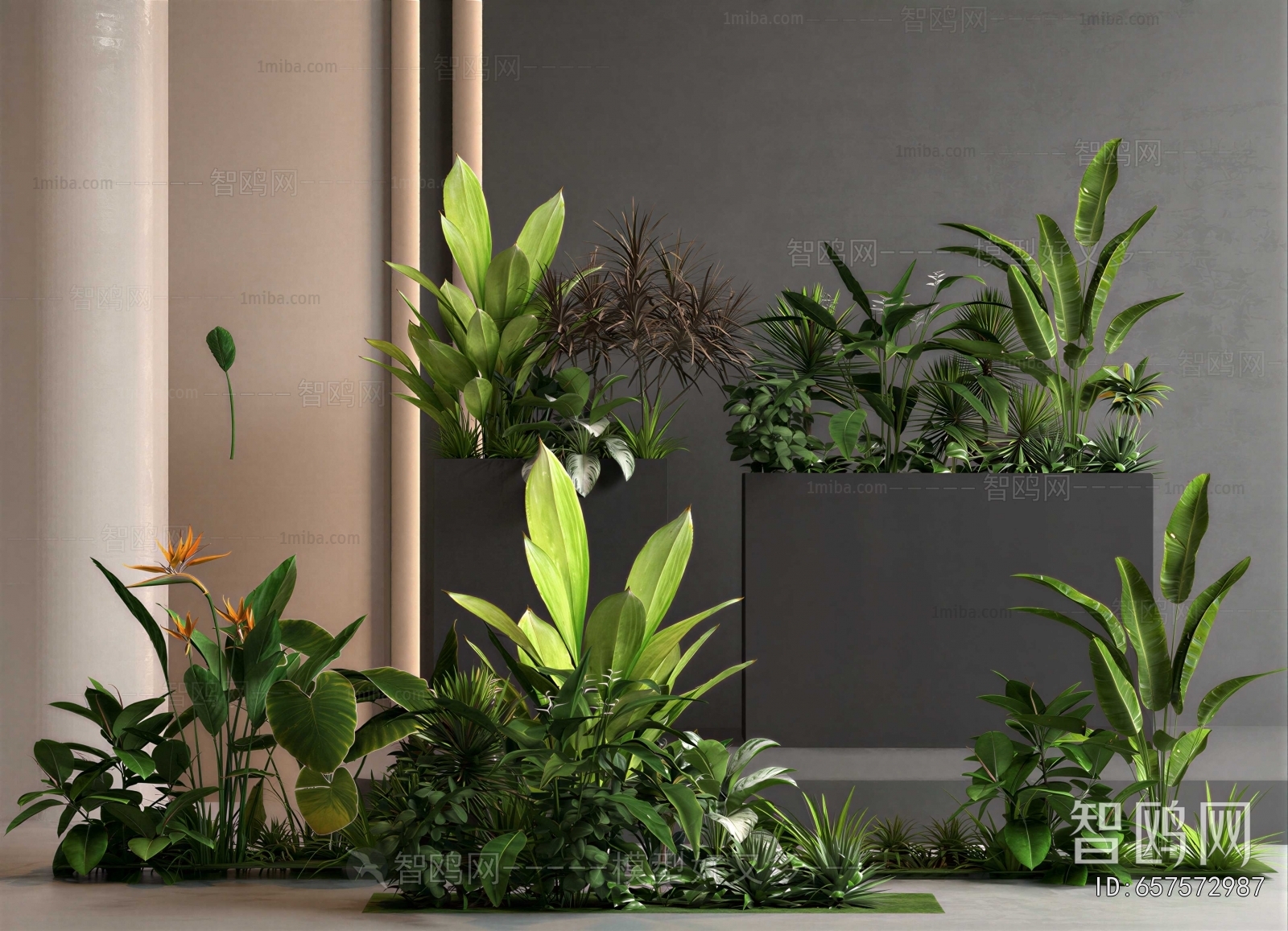 Modern Flower Bed, Flower Bowl, Flower Box