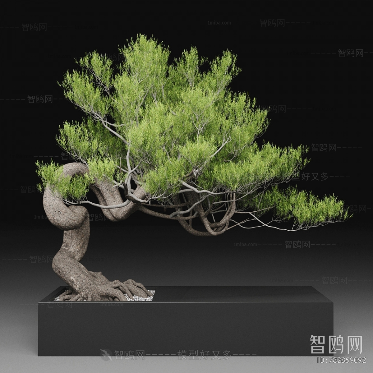 Modern Bonsai