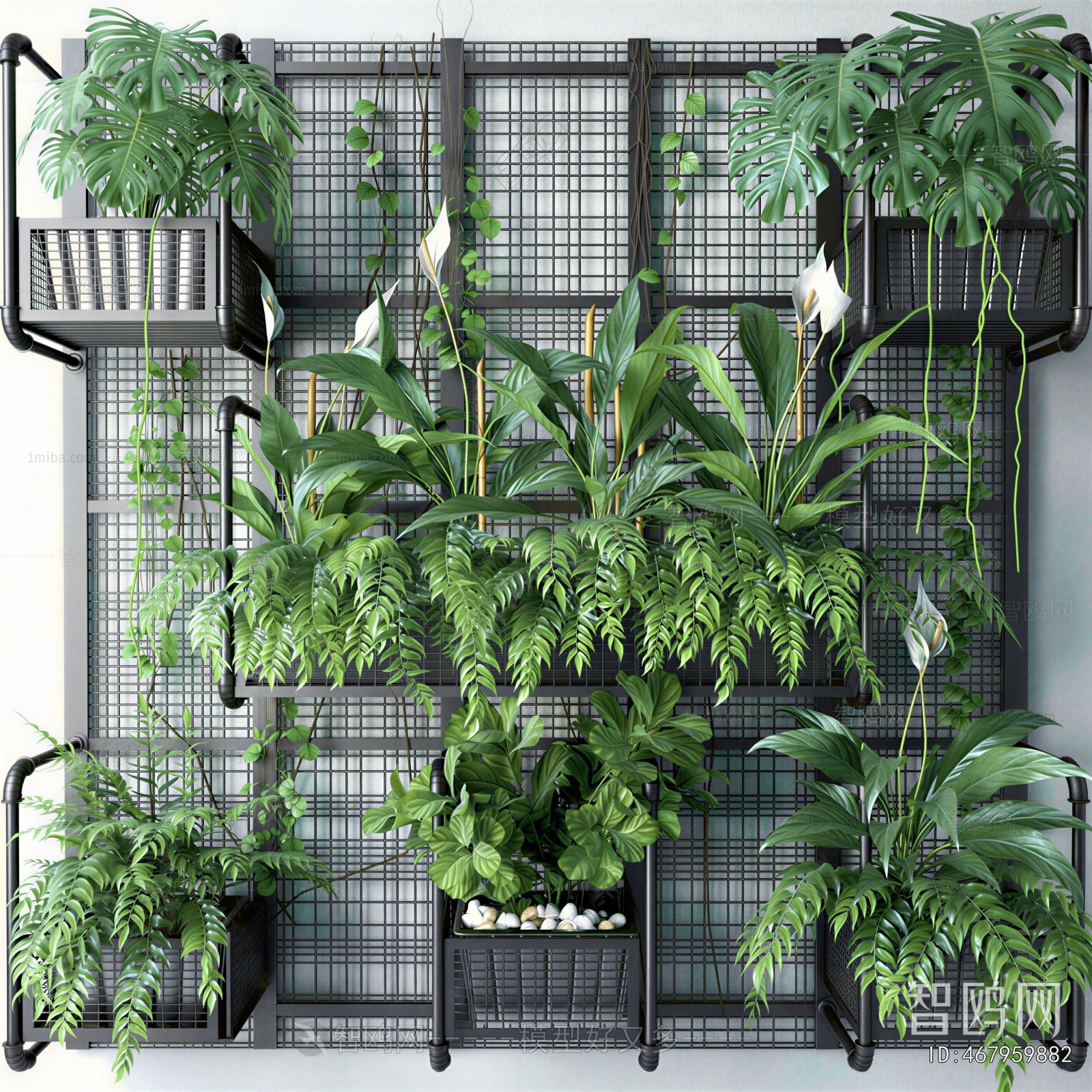 Modern Plant Wall