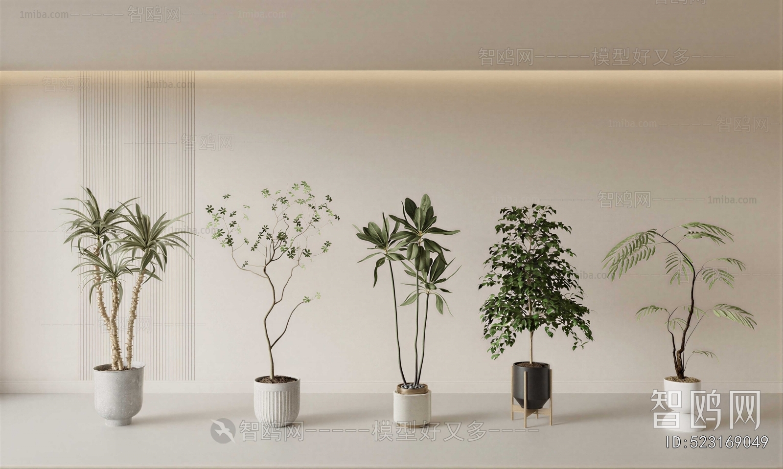 Modern Ground Green Plant Potted Plants