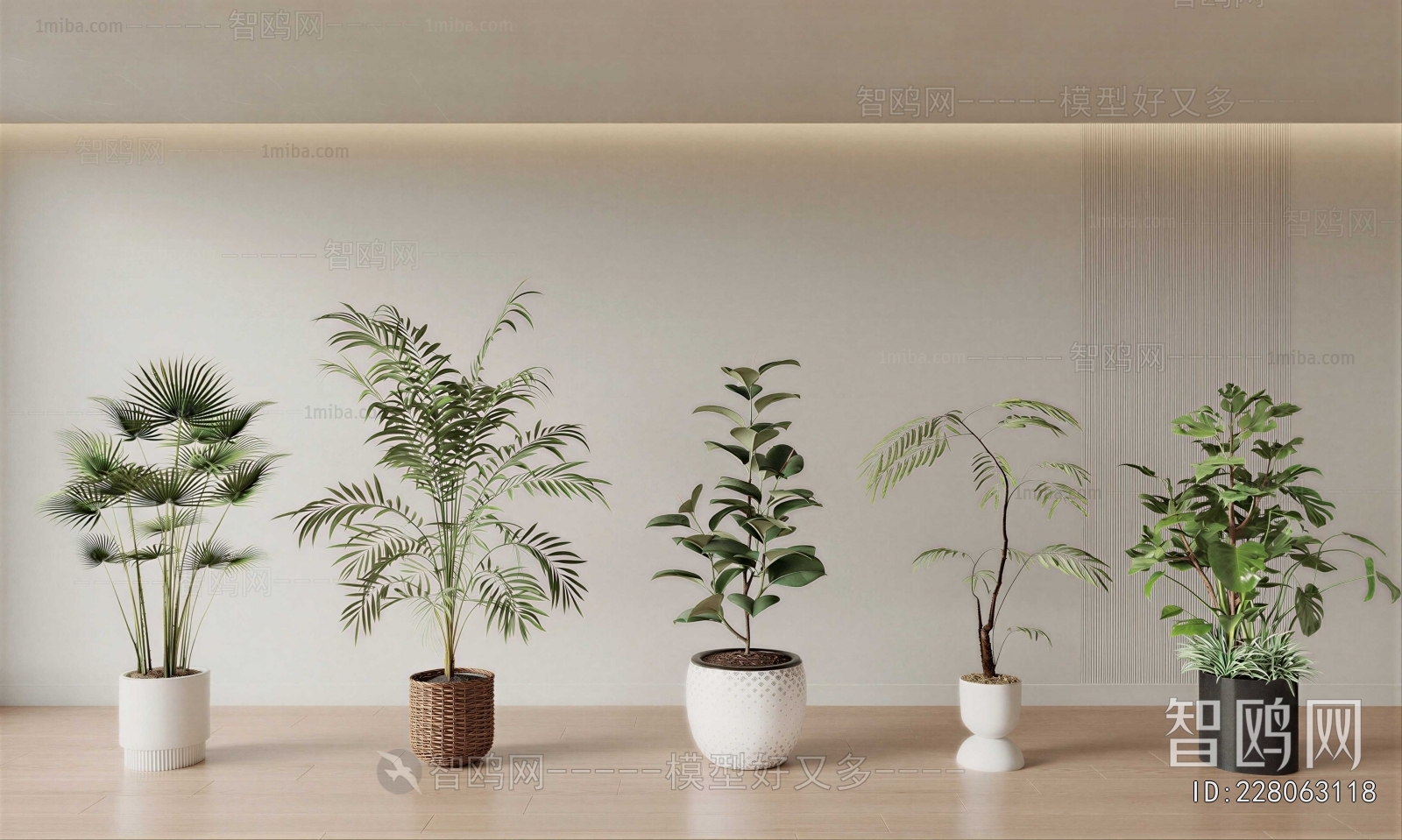 Modern Ground Green Plant Potted Plants