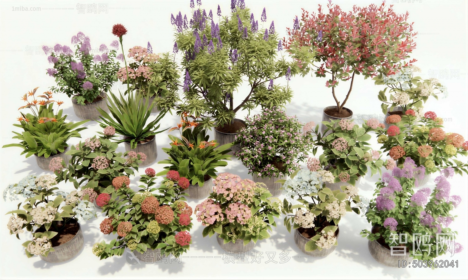 Modern Ground Green Plant Potted Plants