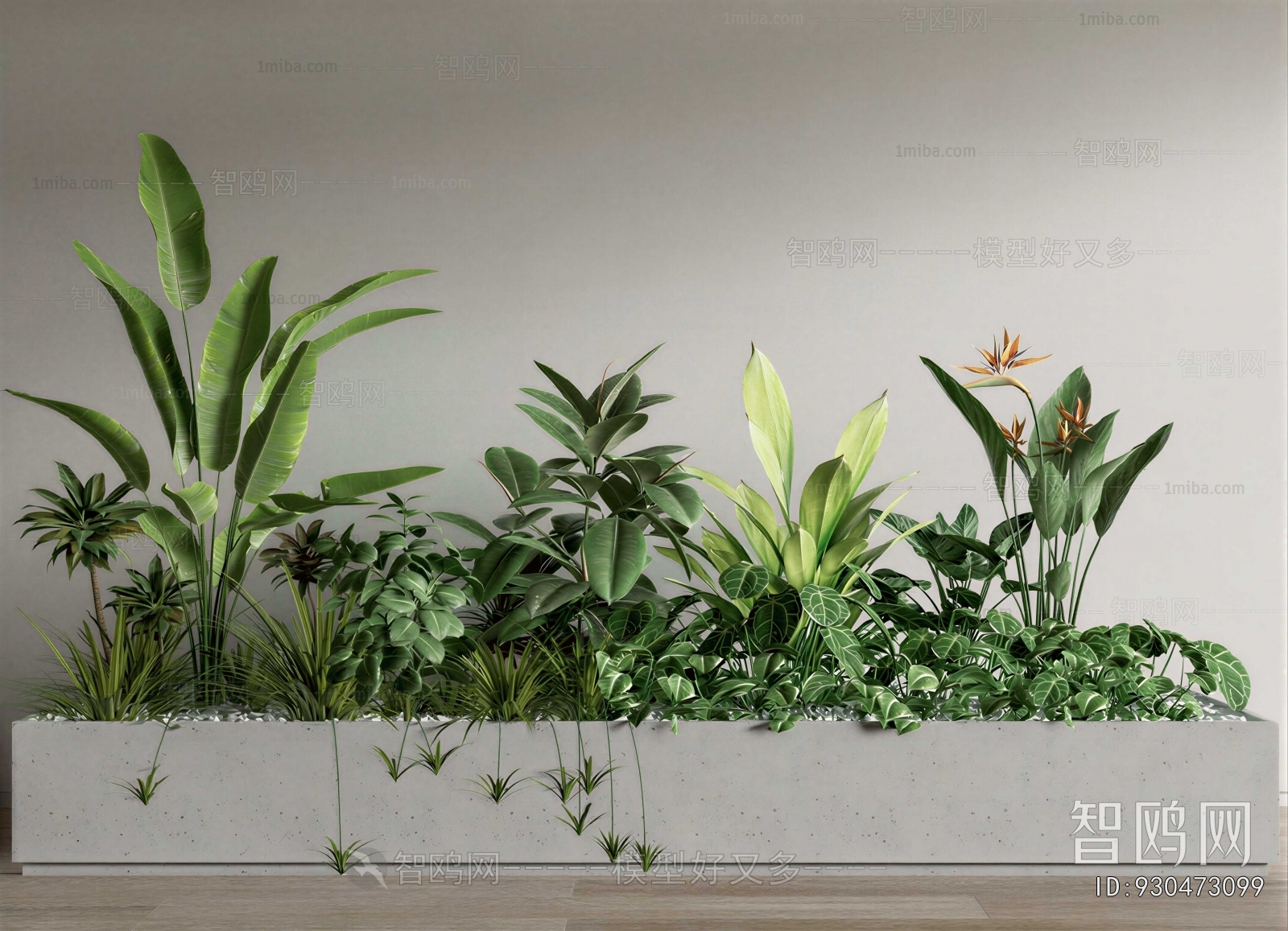 Modern Flower Bed, Flower Bowl, Flower Box