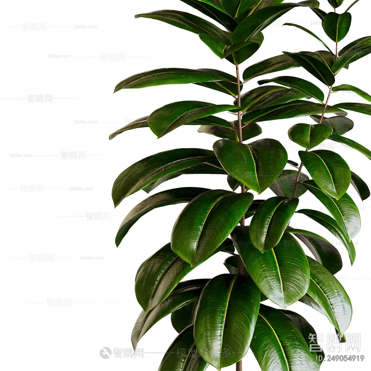 Modern Ground Green Plant Potted Plants