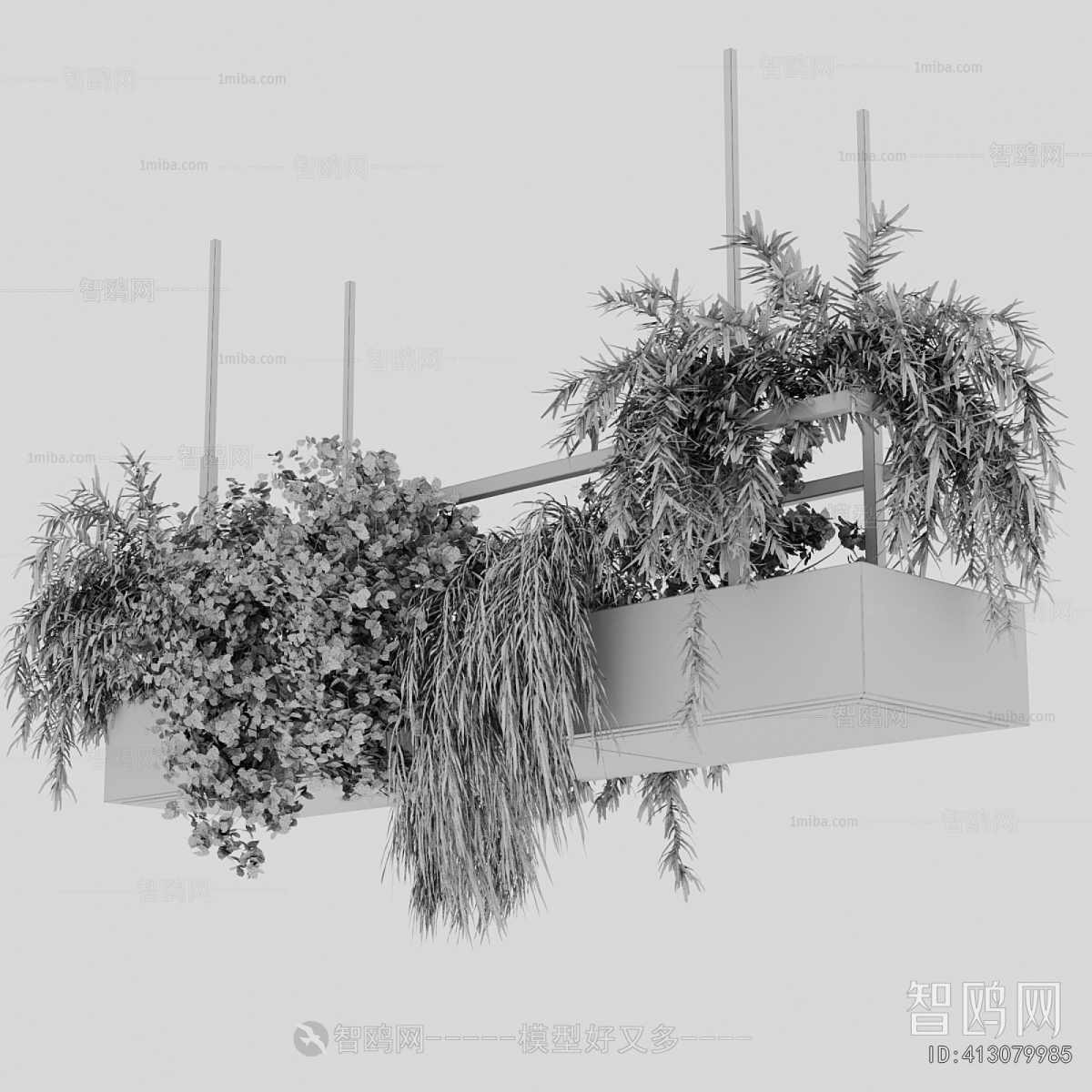 Modern Chlorophytum Comosum