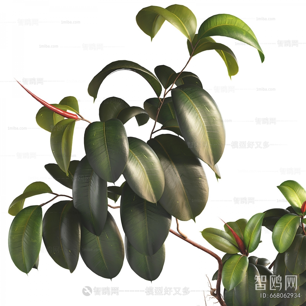 Modern Ground Green Plant Potted Plants