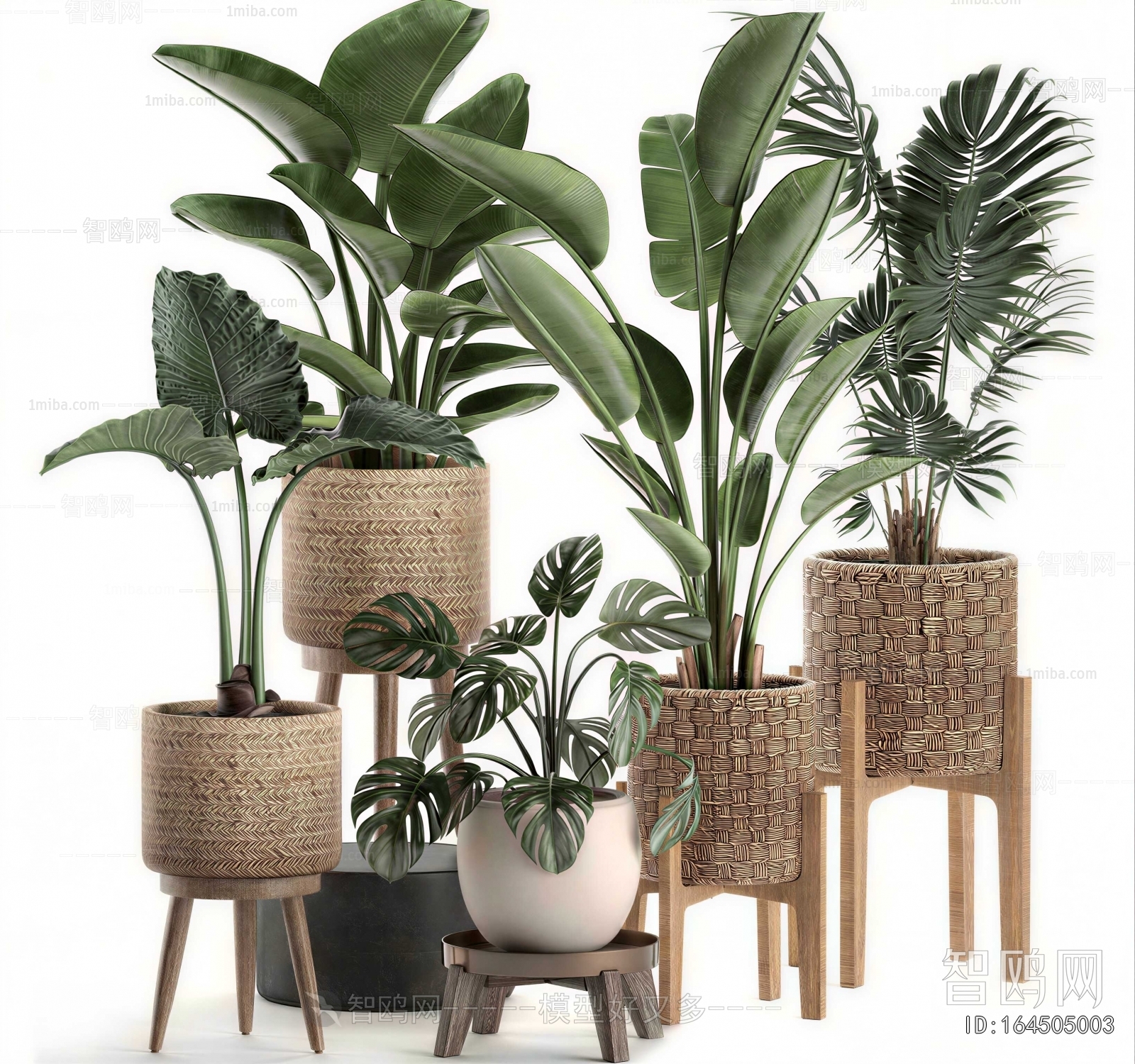 Modern Ground Green Plant Potted Plants