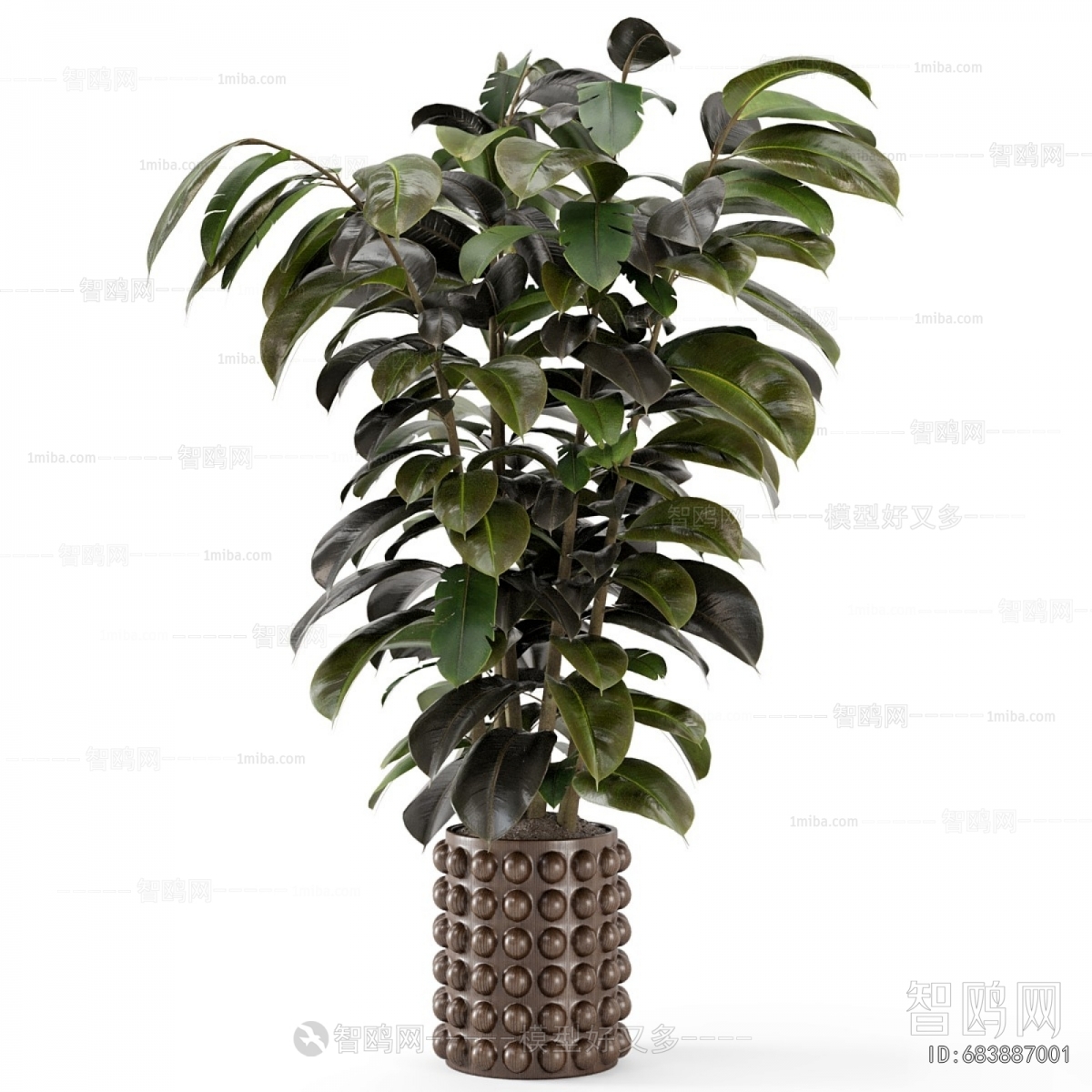 Modern Ground Green Plant Potted Plants