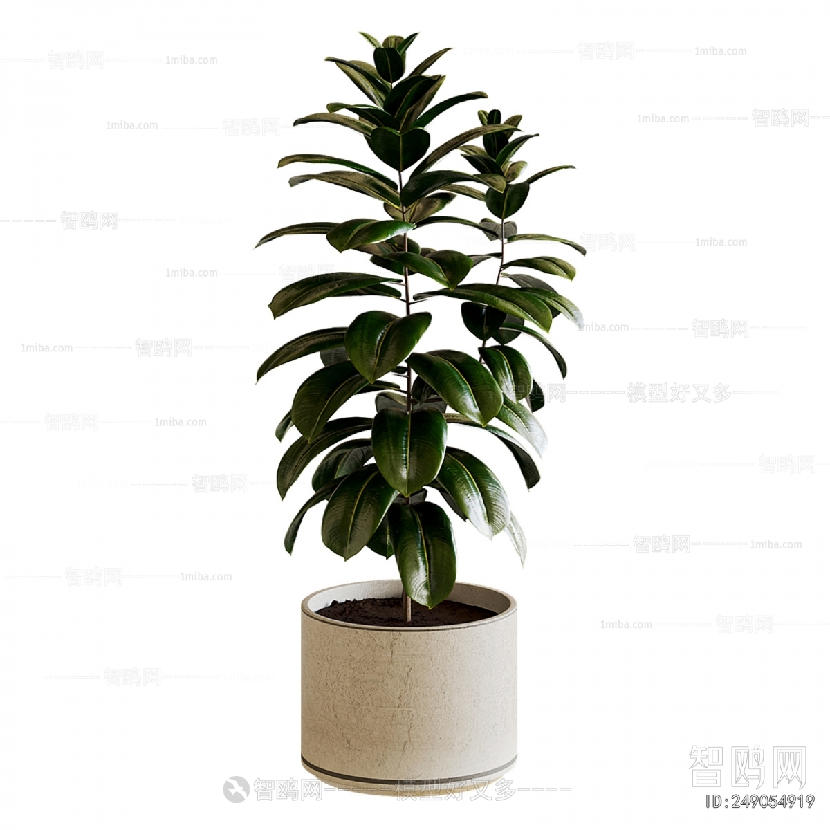 Modern Ground Green Plant Potted Plants