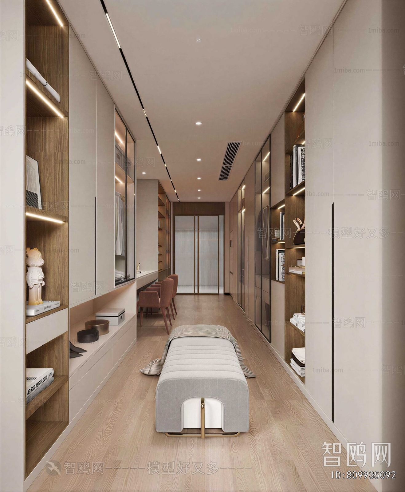 Modern Clothes Storage Area