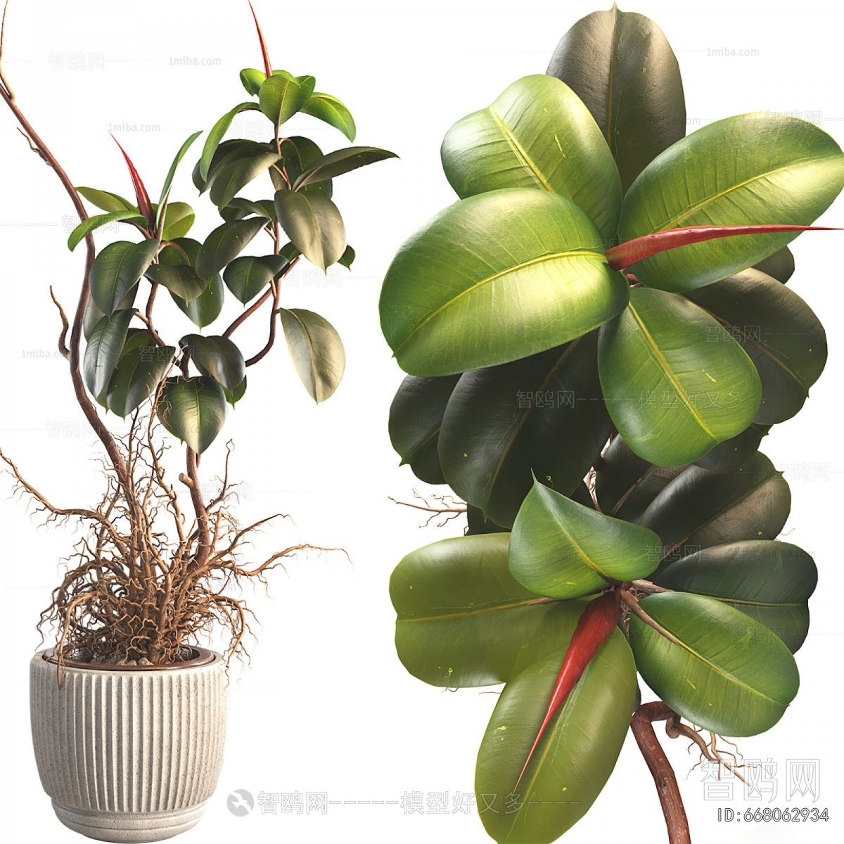Modern Ground Green Plant Potted Plants