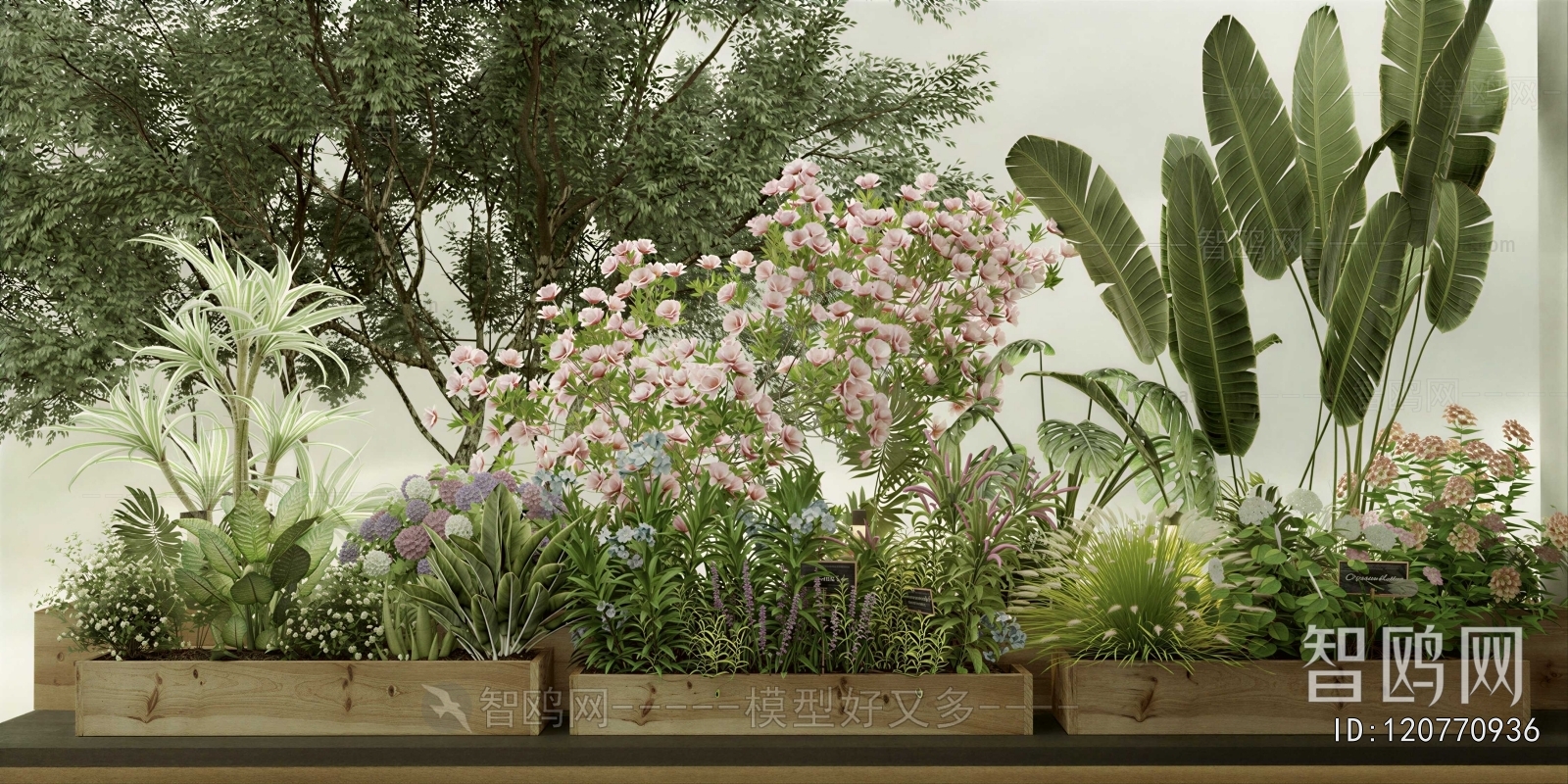 Modern Flower Bed, Flower Bowl, Flower Box