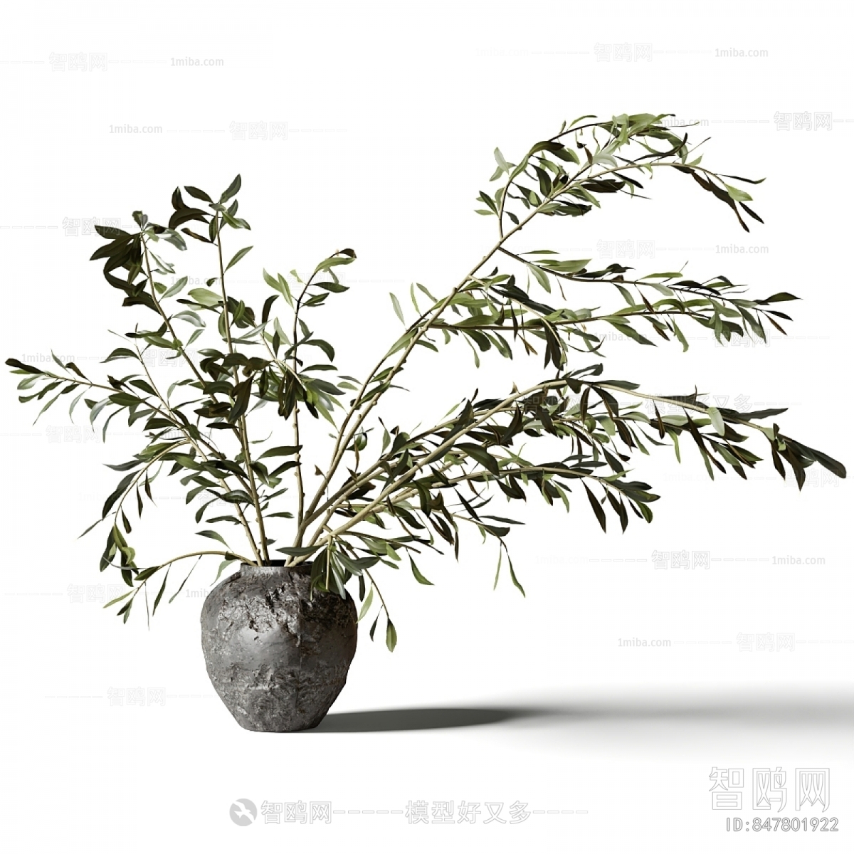 Modern Aquatic Green Plant