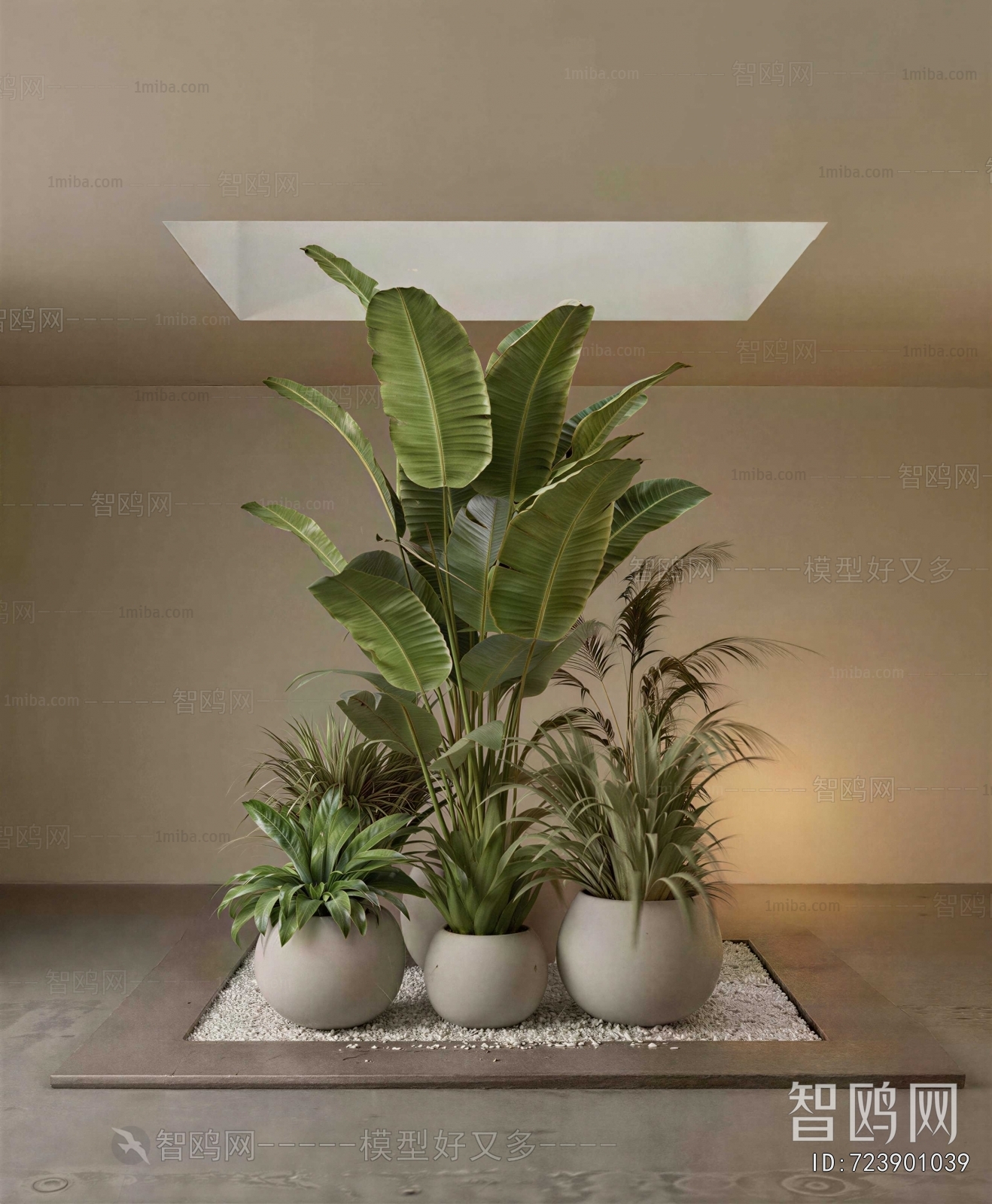 Modern Ground Green Plant Potted Plants
