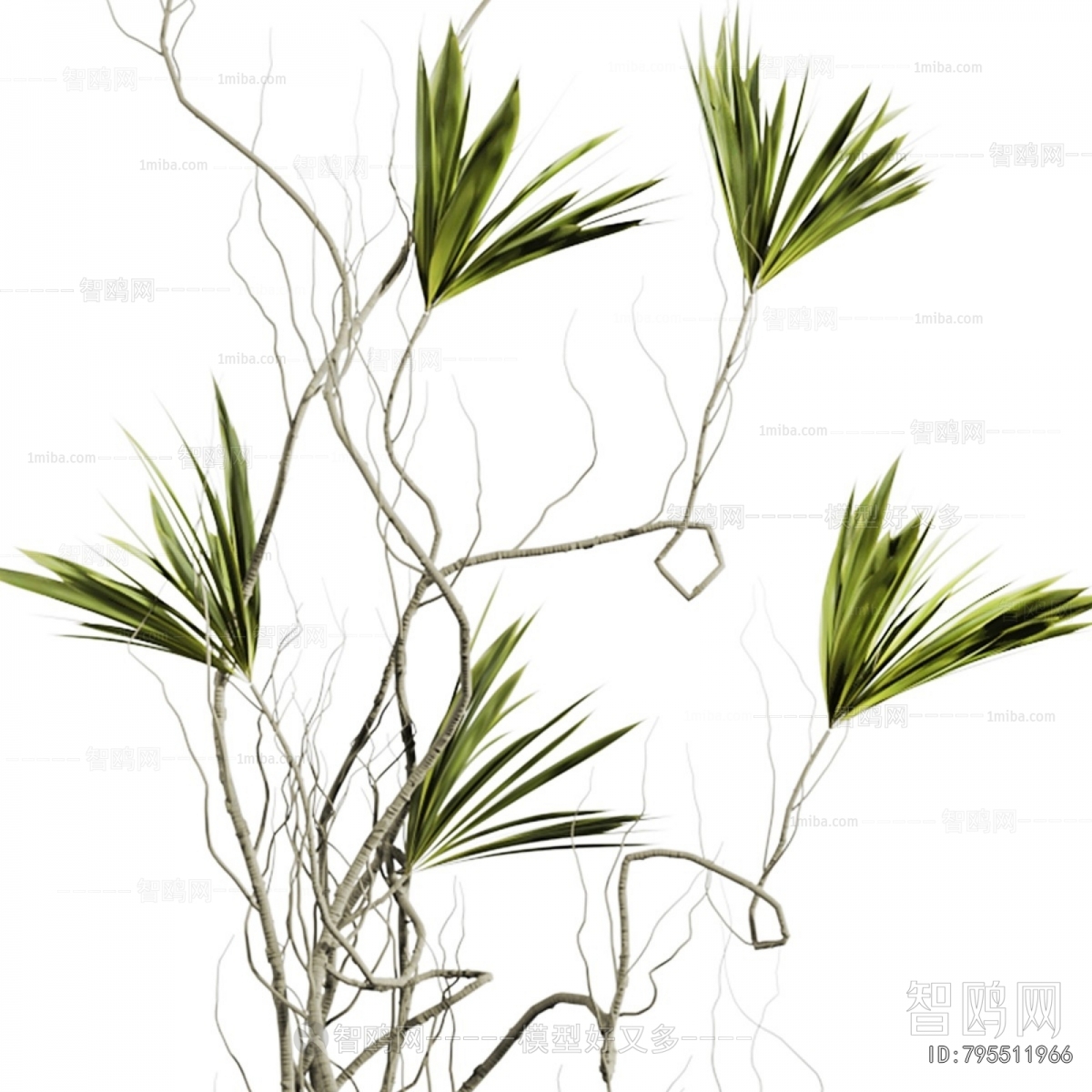 Modern Aquatic Green Plant