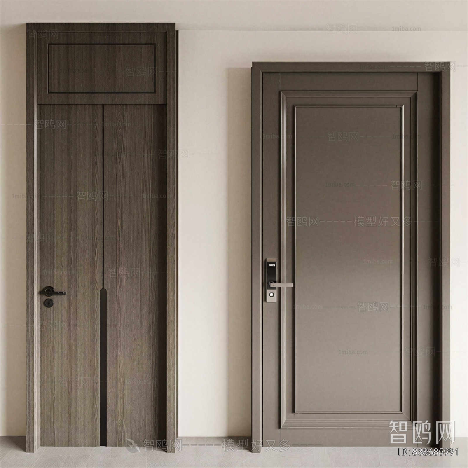 Modern Entrance Door