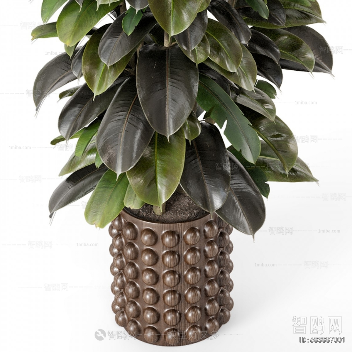 Modern Ground Green Plant Potted Plants