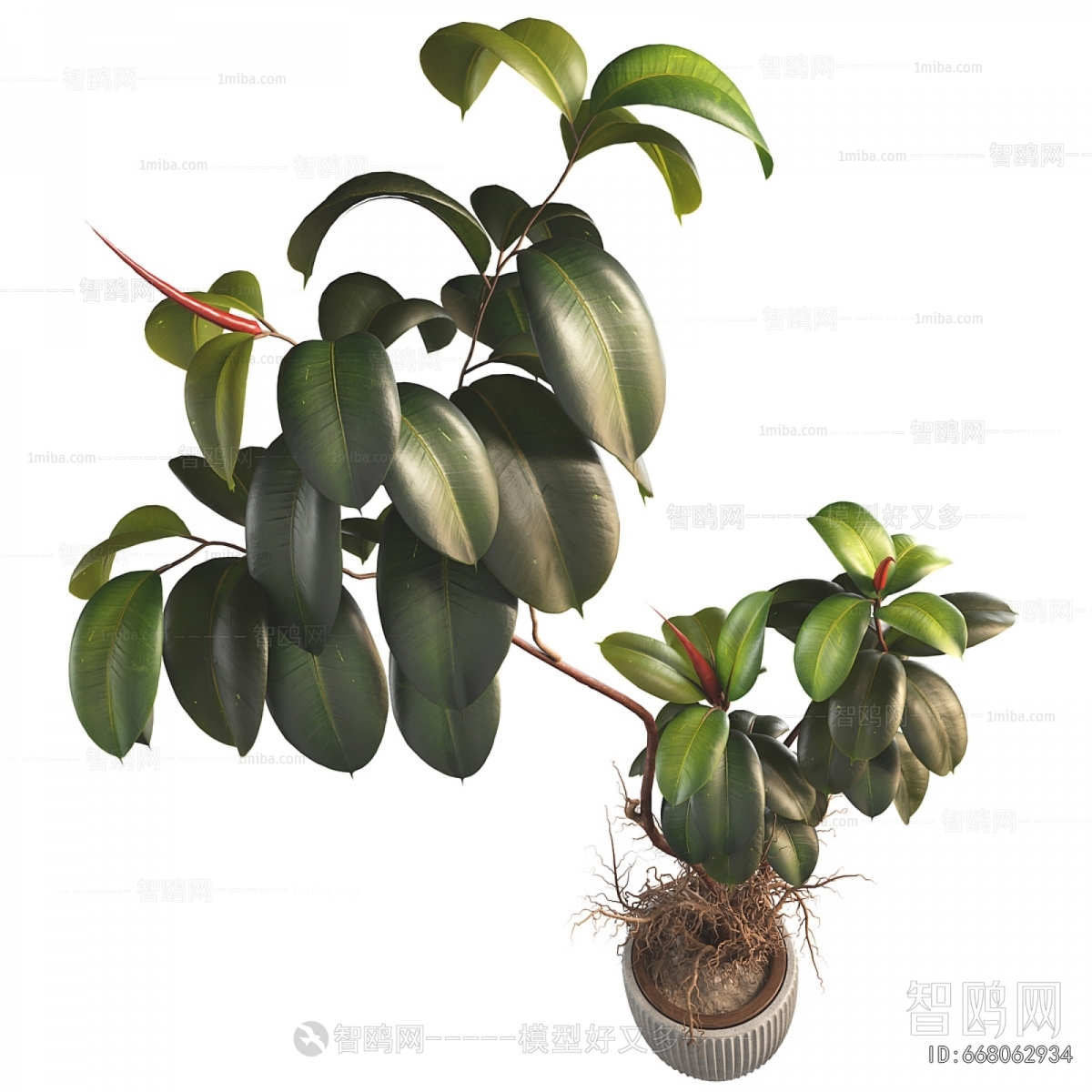 Modern Ground Green Plant Potted Plants