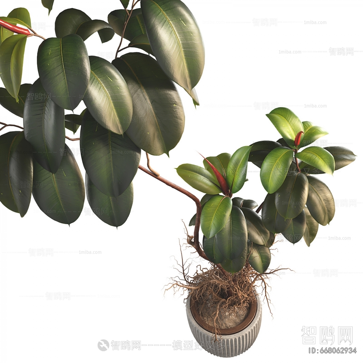 Modern Ground Green Plant Potted Plants