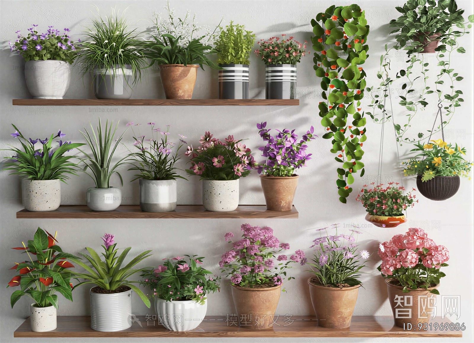 Modern Potted Green Plant