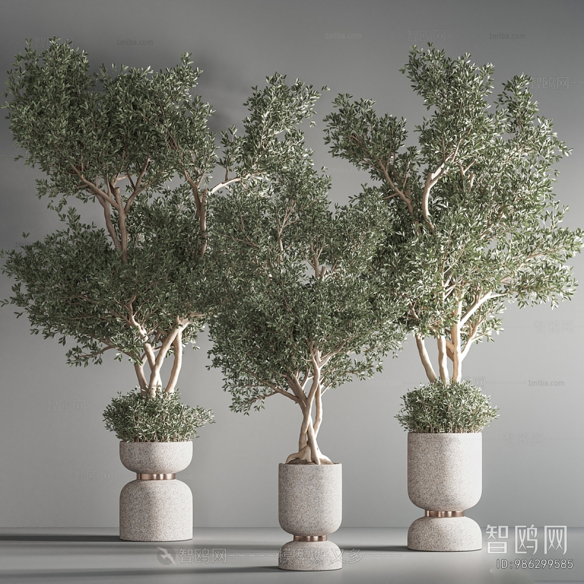 Modern Ground Green Plant Potted Plants