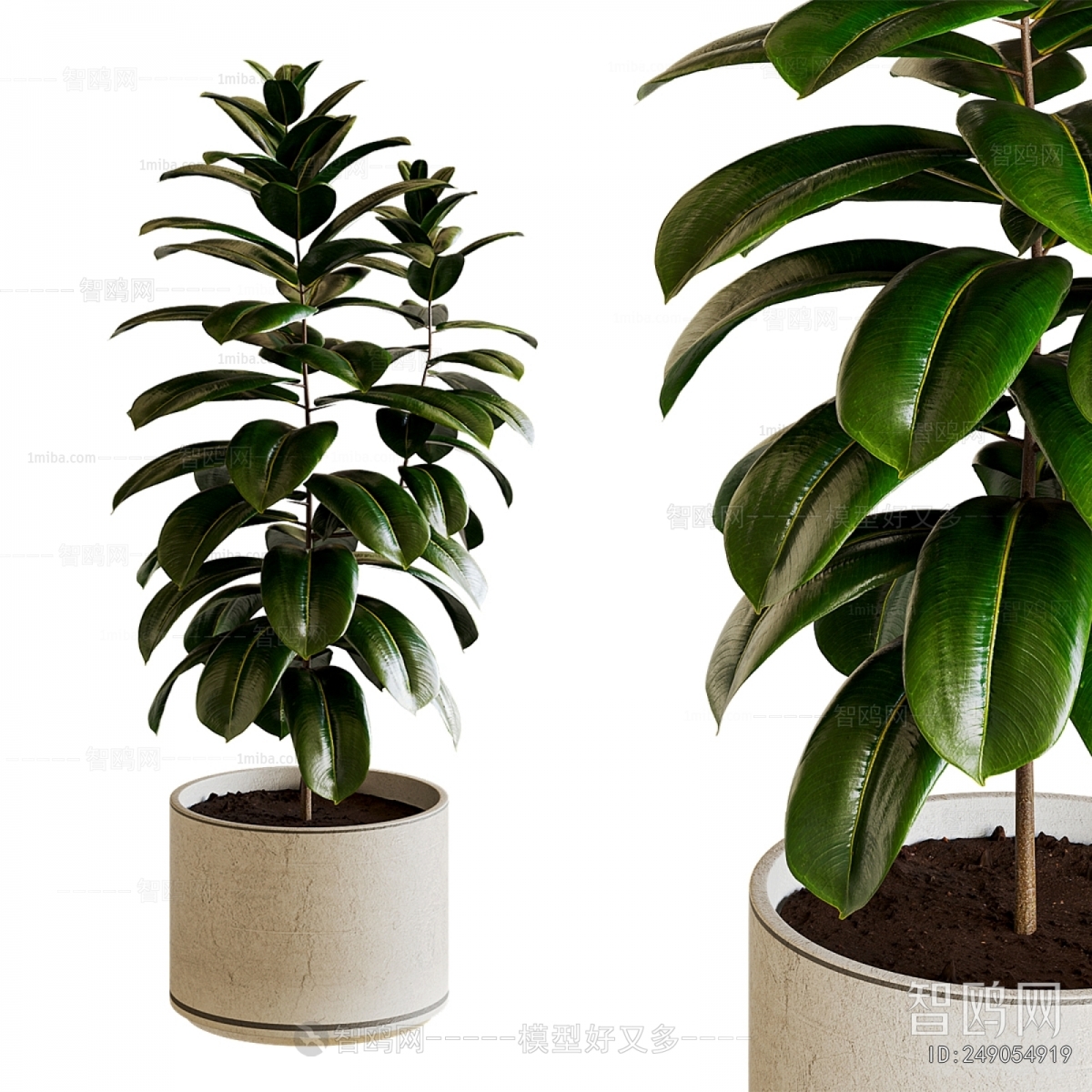 Modern Ground Green Plant Potted Plants
