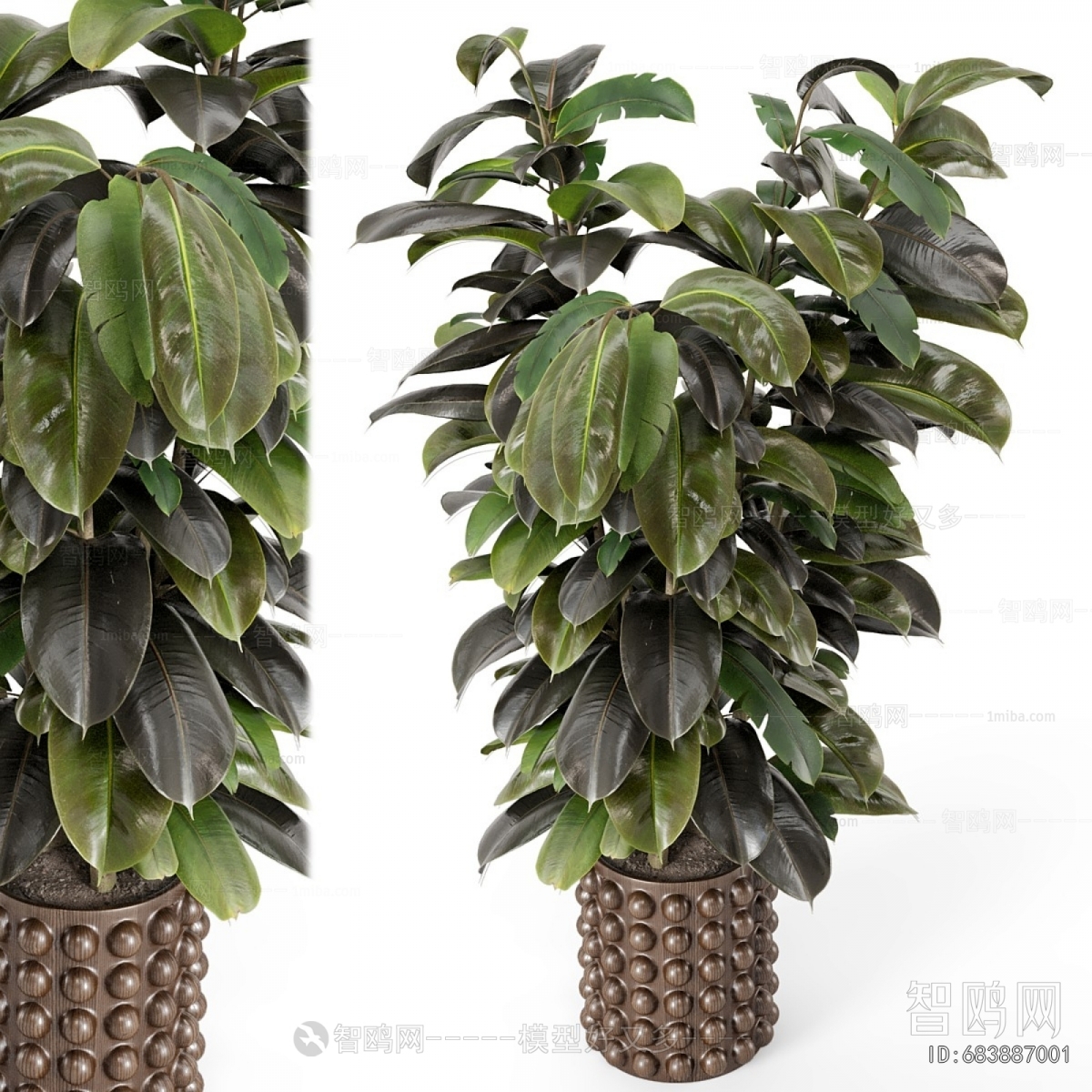 Modern Ground Green Plant Potted Plants