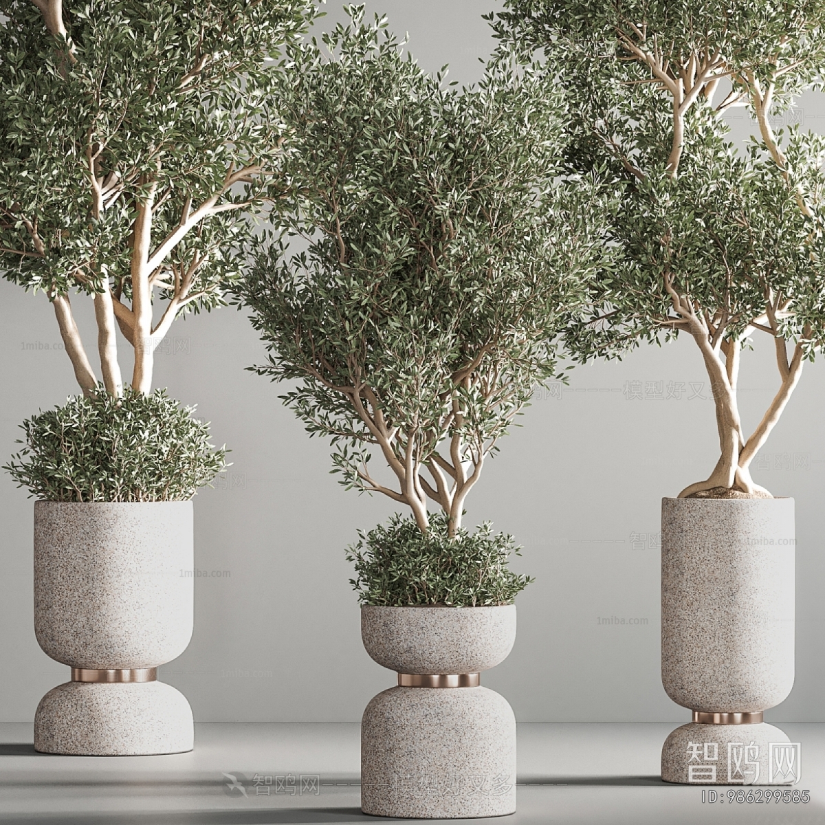 Modern Ground Green Plant Potted Plants