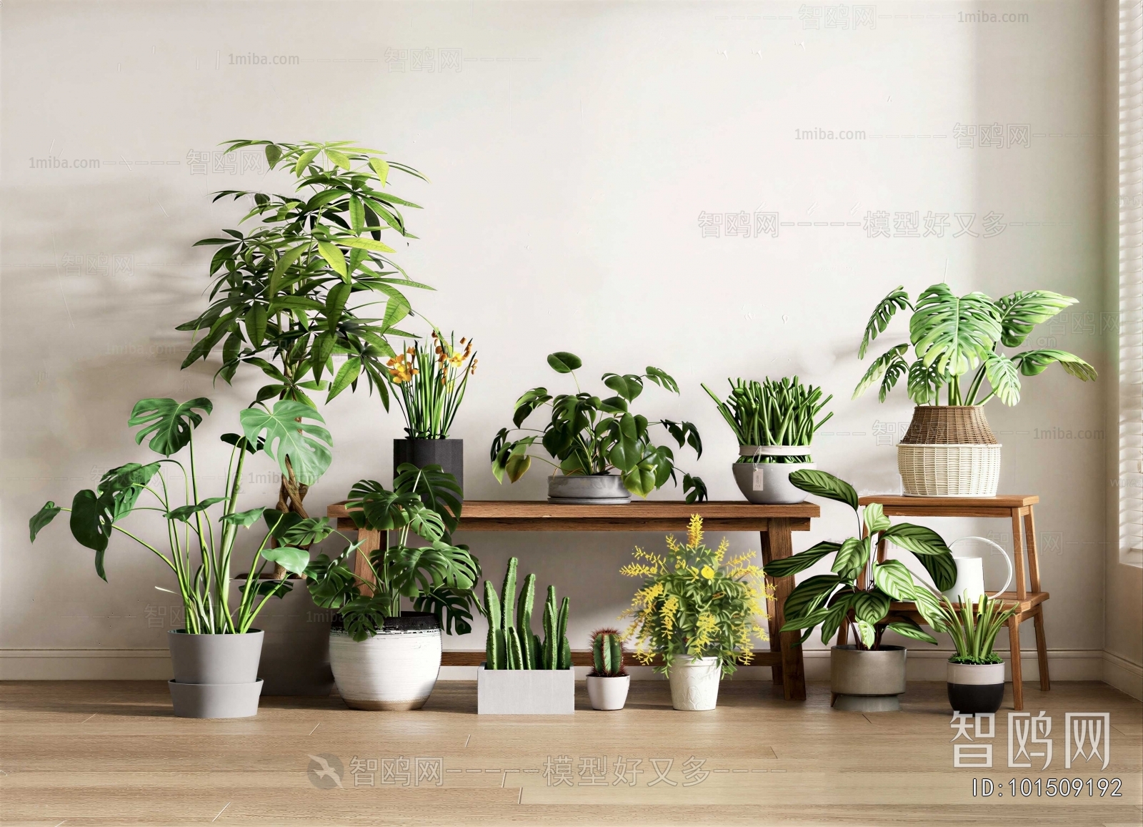 Modern Potted Green Plant