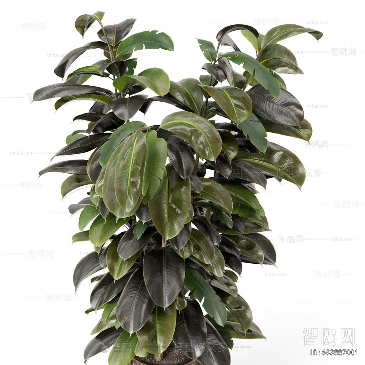 Modern Ground Green Plant Potted Plants