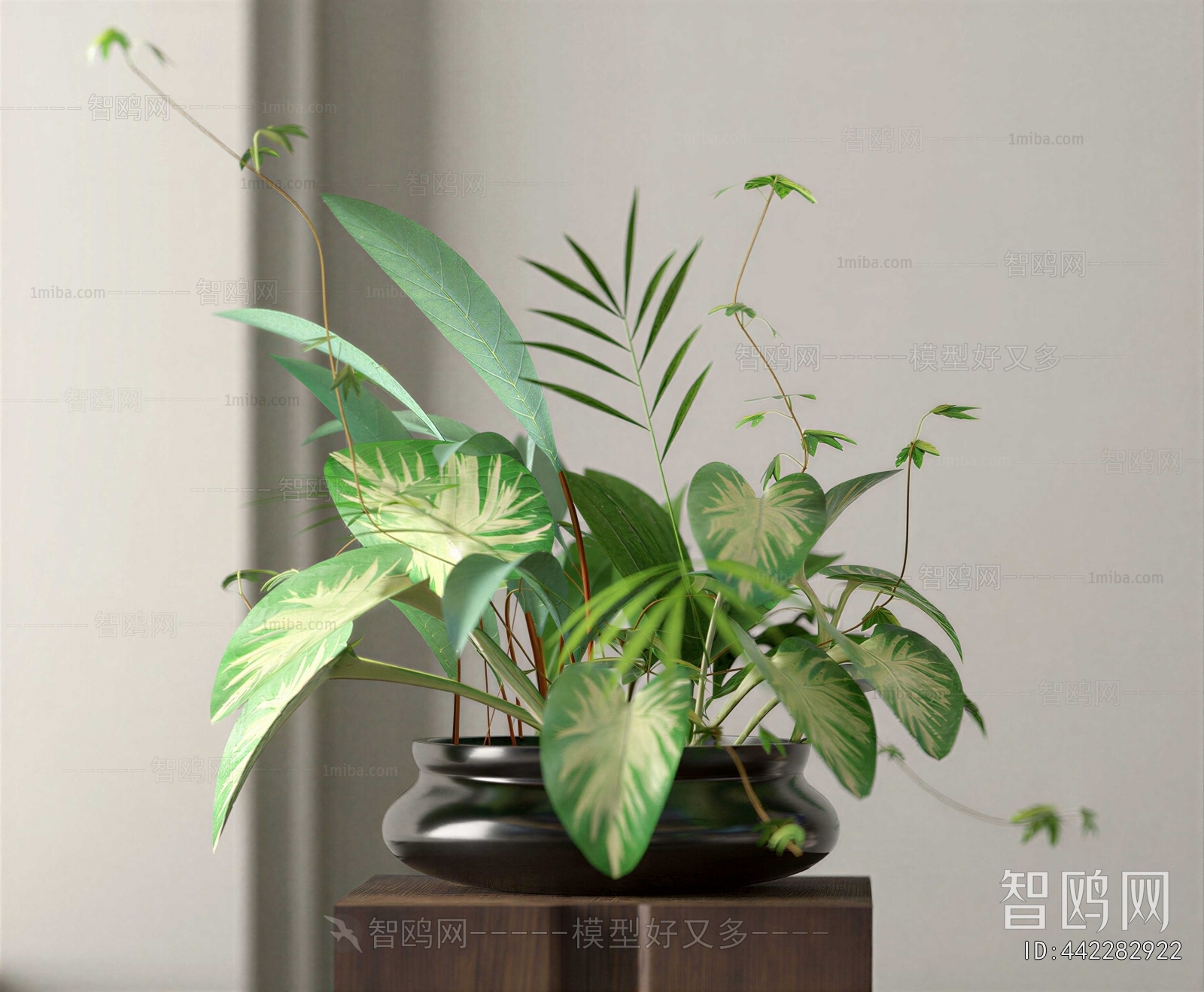 Modern Potted Green Plant