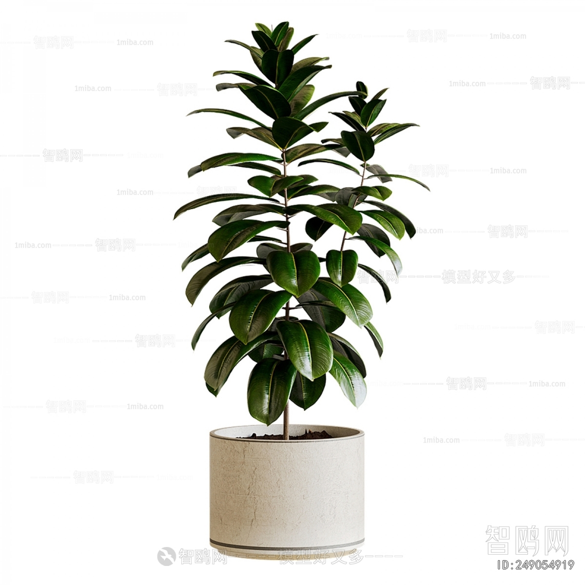 Modern Ground Green Plant Potted Plants