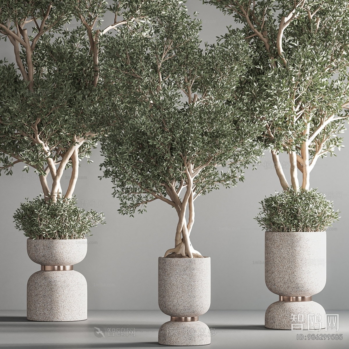 Modern Ground Green Plant Potted Plants