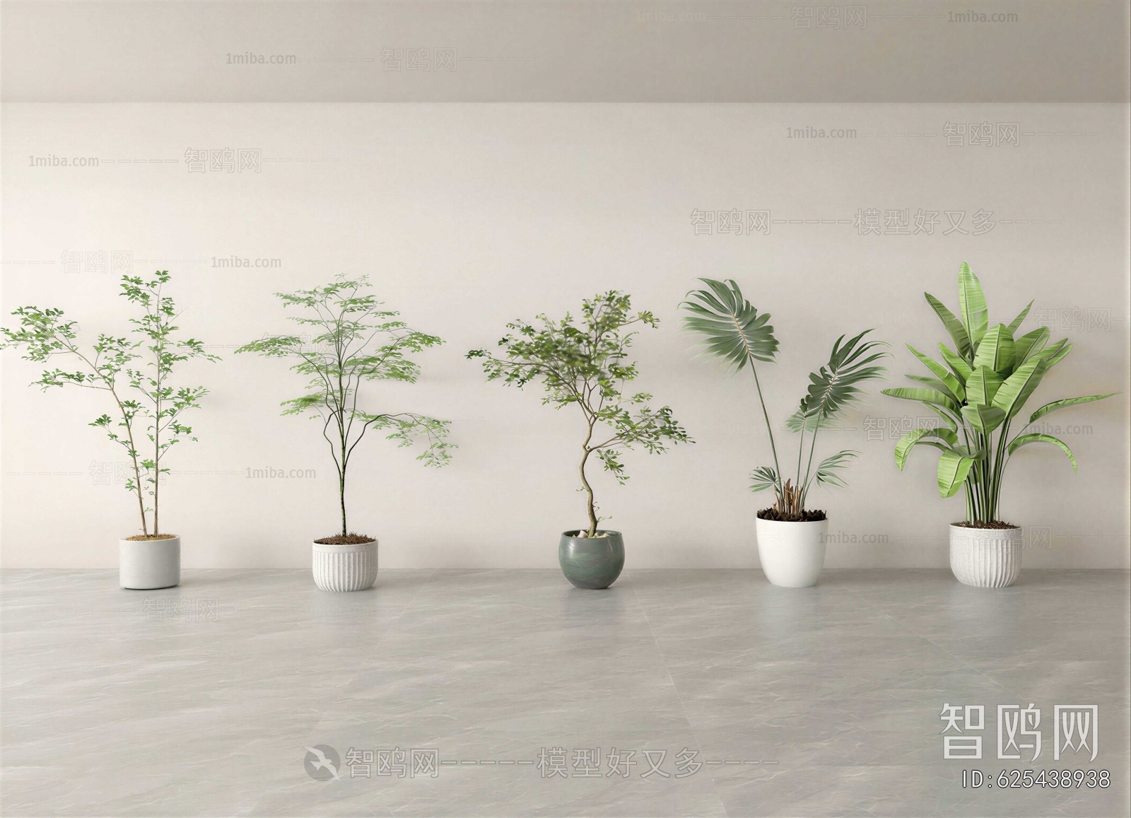 Modern Ground Green Plant Potted Plants