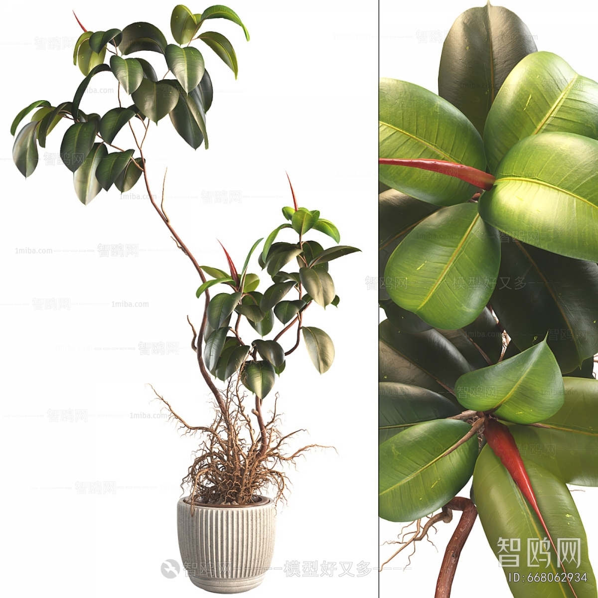 Modern Ground Green Plant Potted Plants