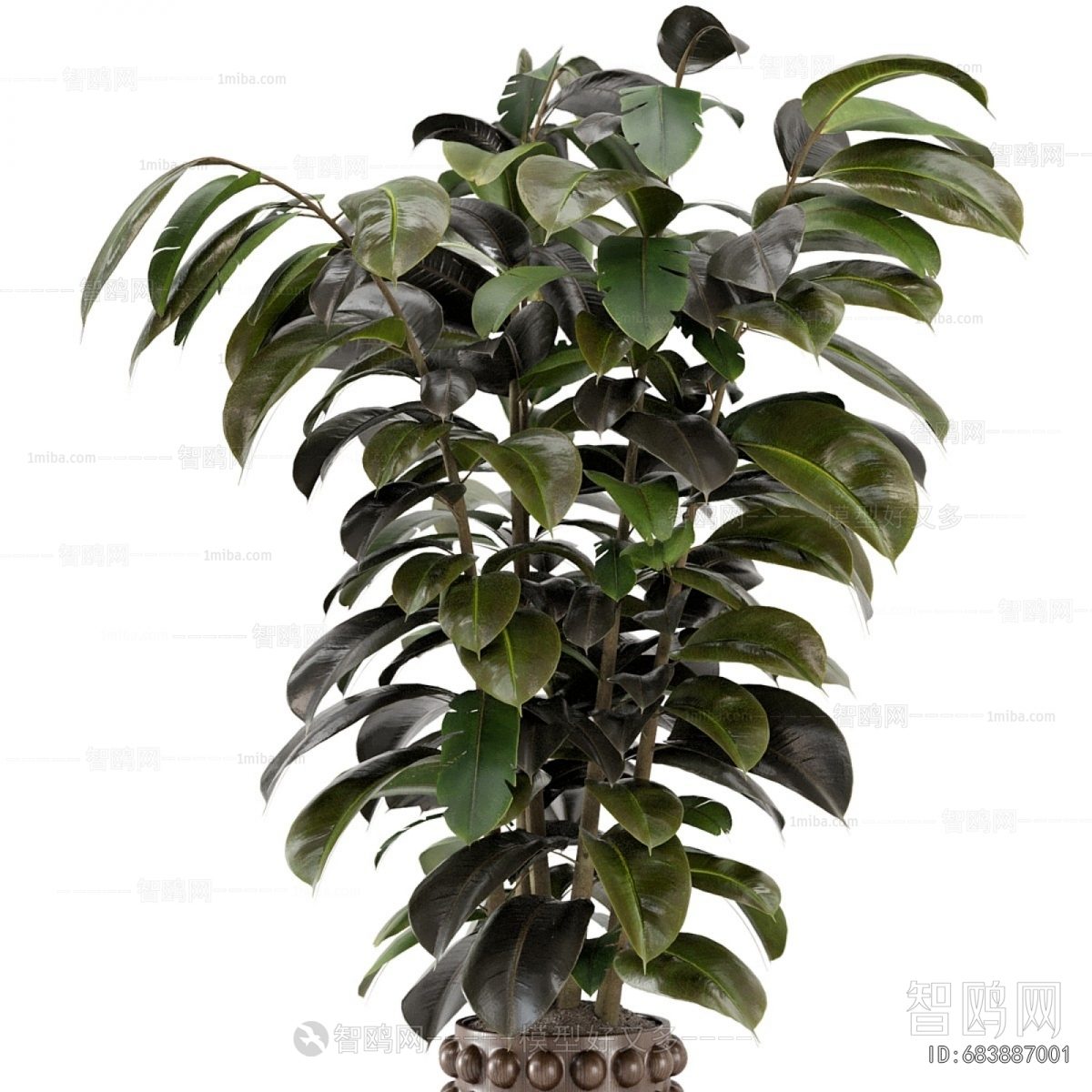 Modern Ground Green Plant Potted Plants