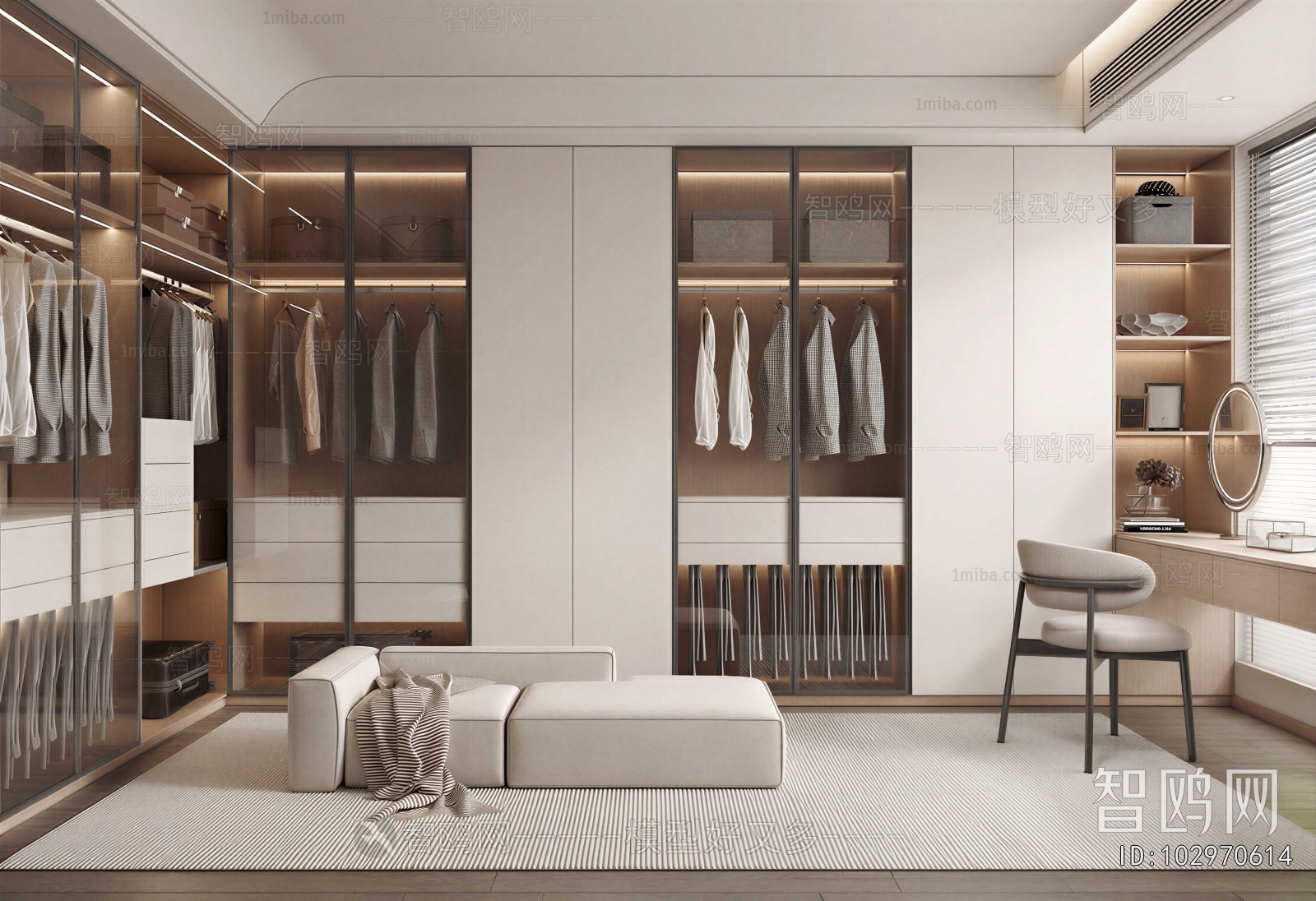 Modern Clothes Storage Area