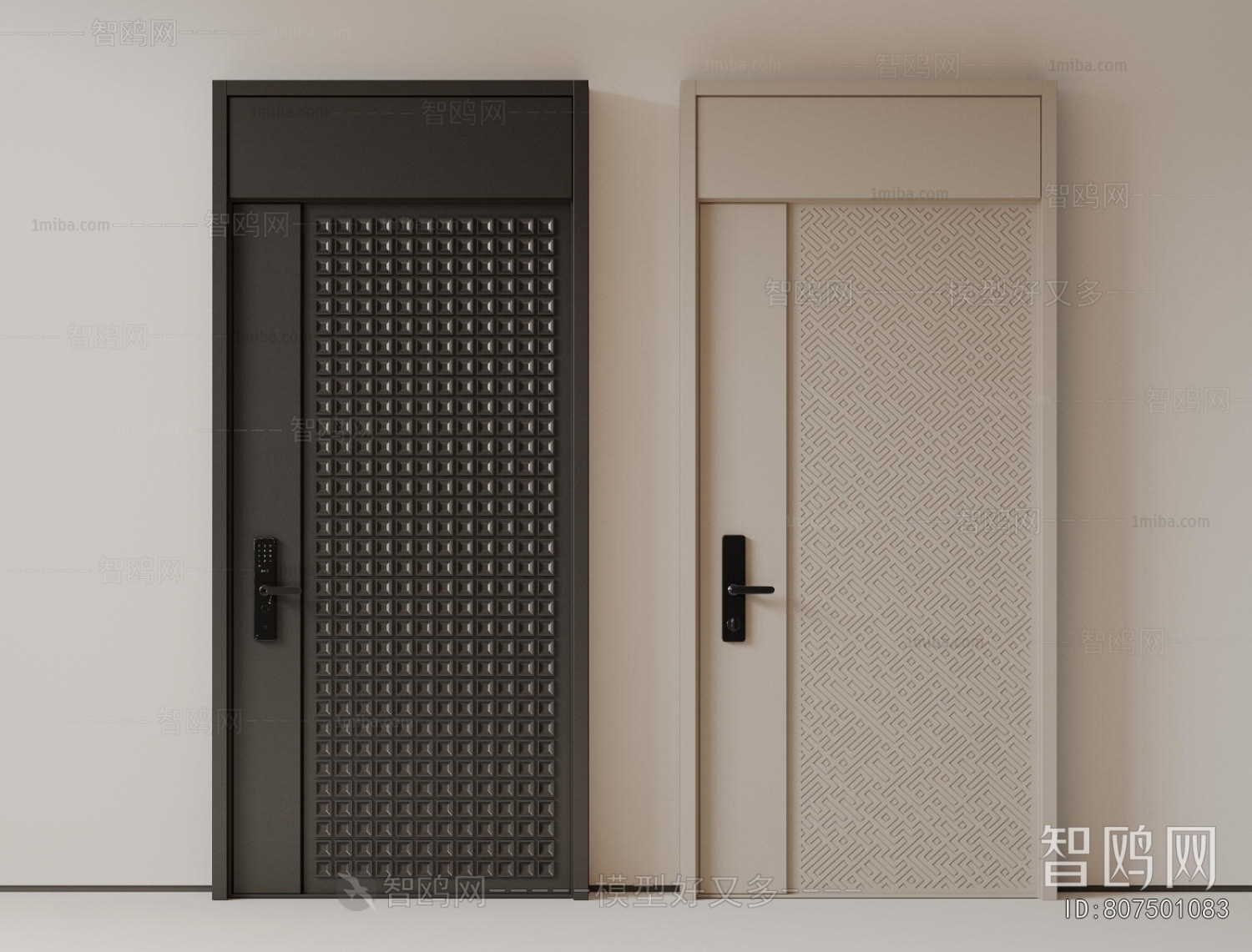 Modern Entrance Door