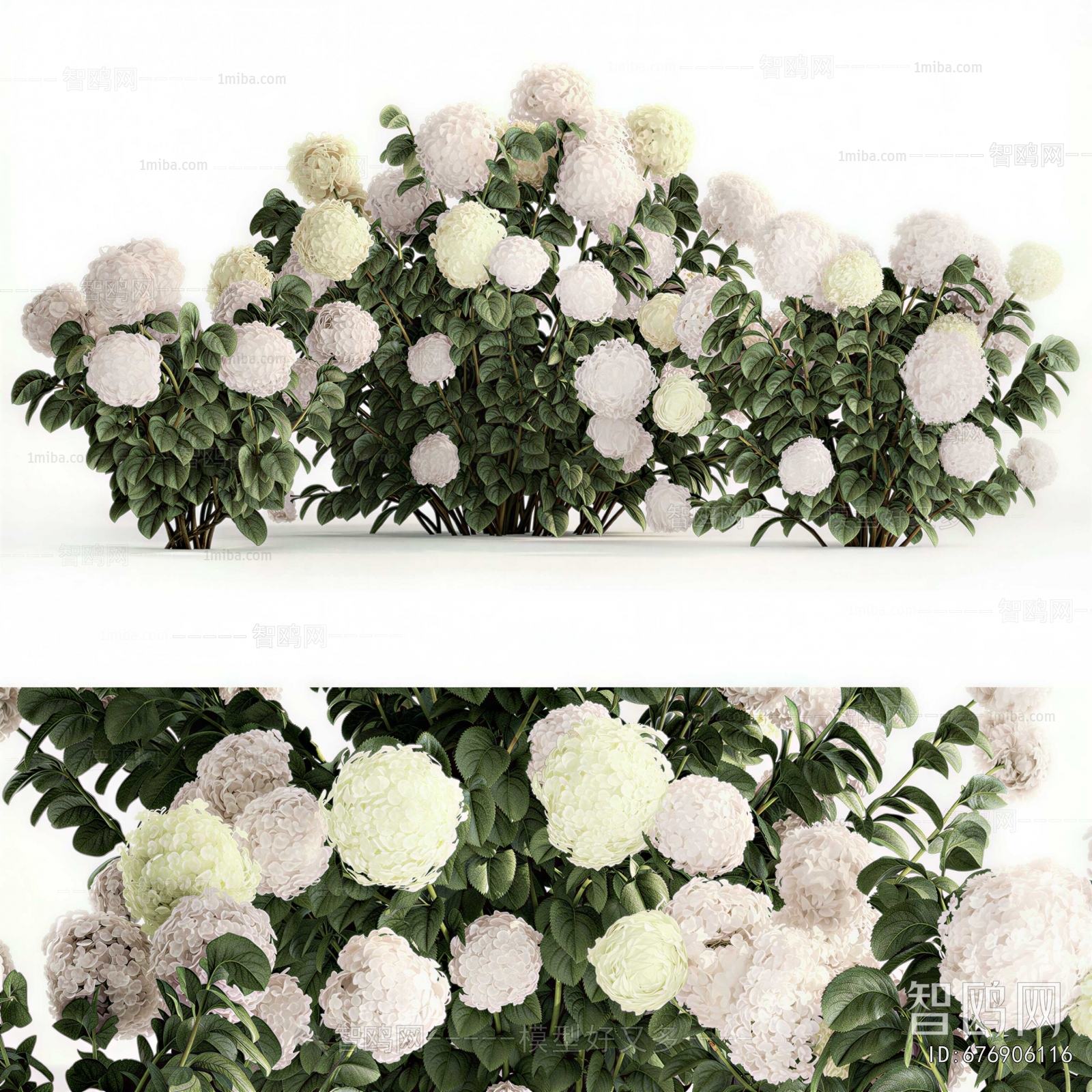 Modern Flowers And Grass