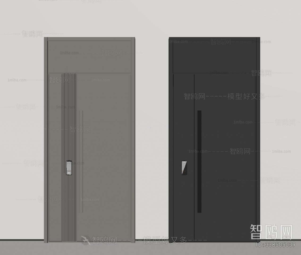 Modern Entrance Door
