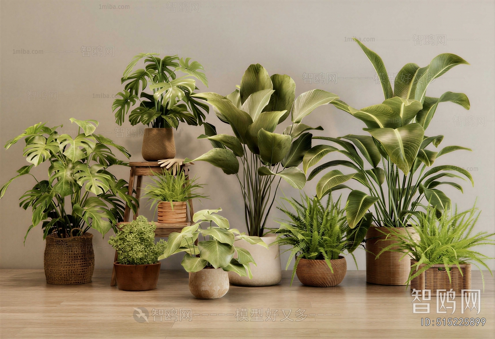 Modern Ground Green Plant Potted Plants