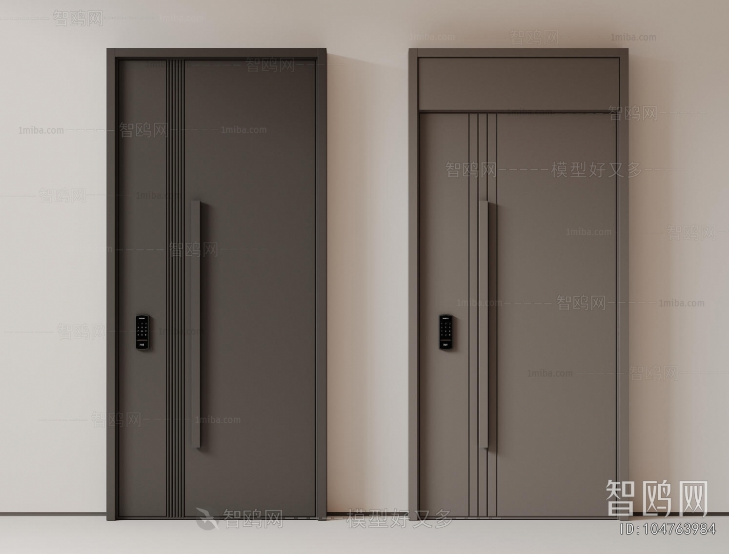 Modern Entrance Door