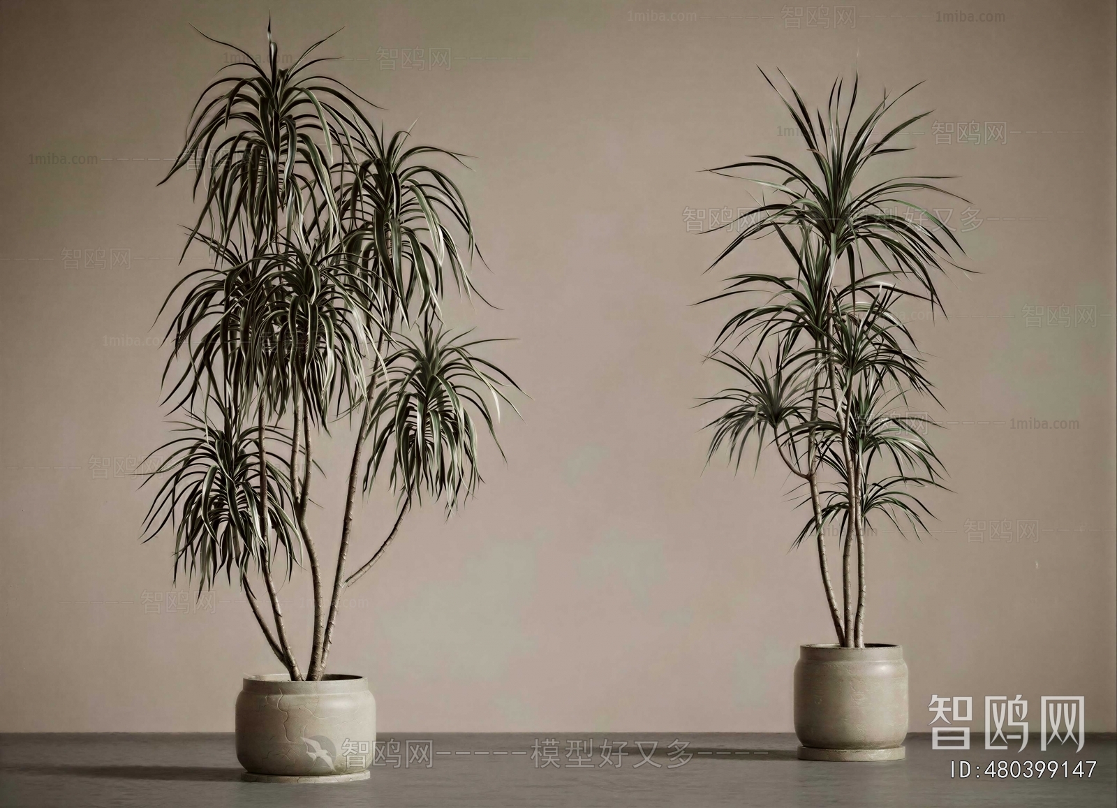 Modern Ground Green Plant Potted Plants