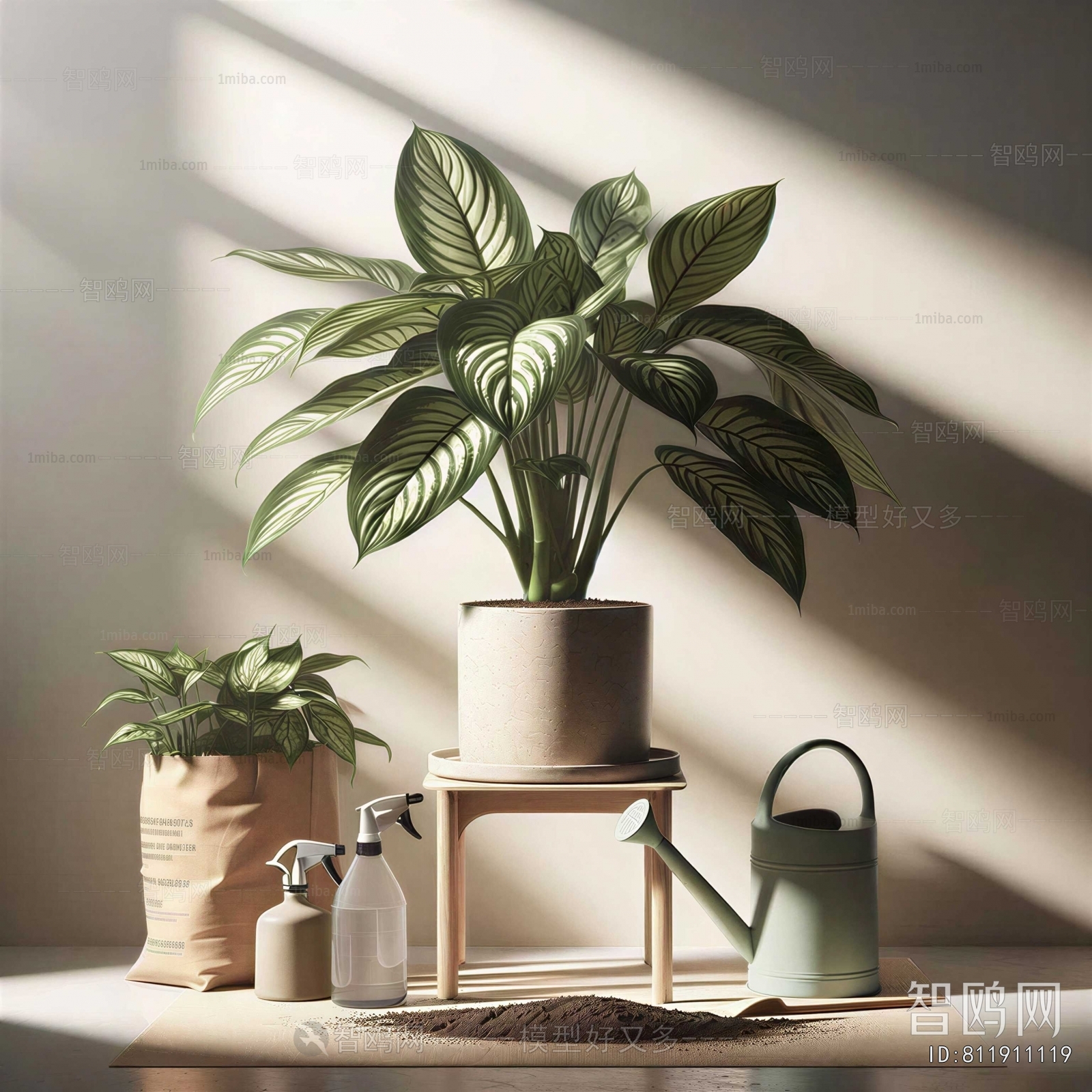 Modern Ground Green Plant Potted Plants