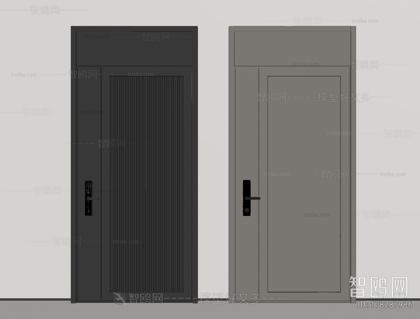 Modern Entrance Door