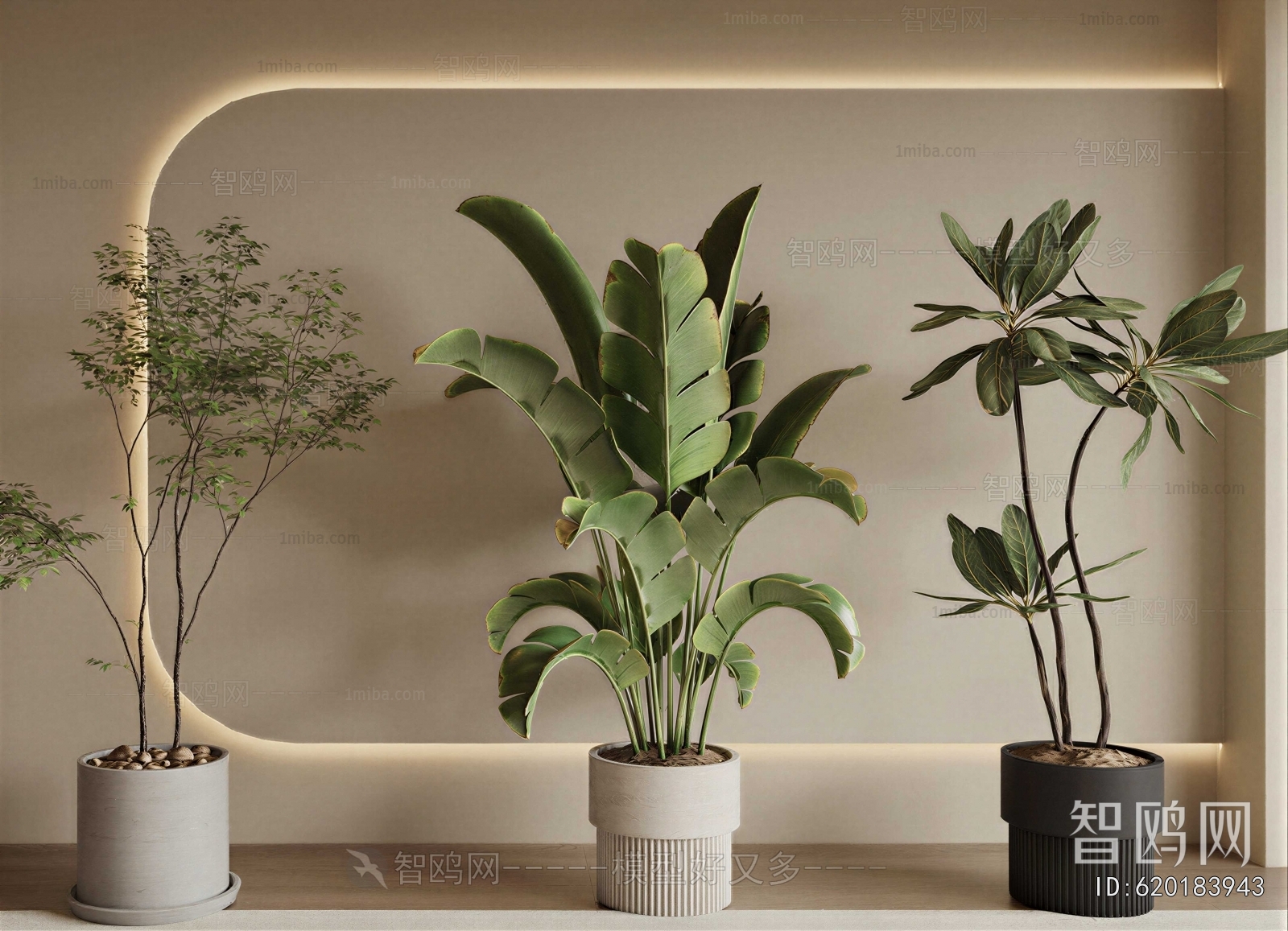 Modern Ground Green Plant Potted Plants