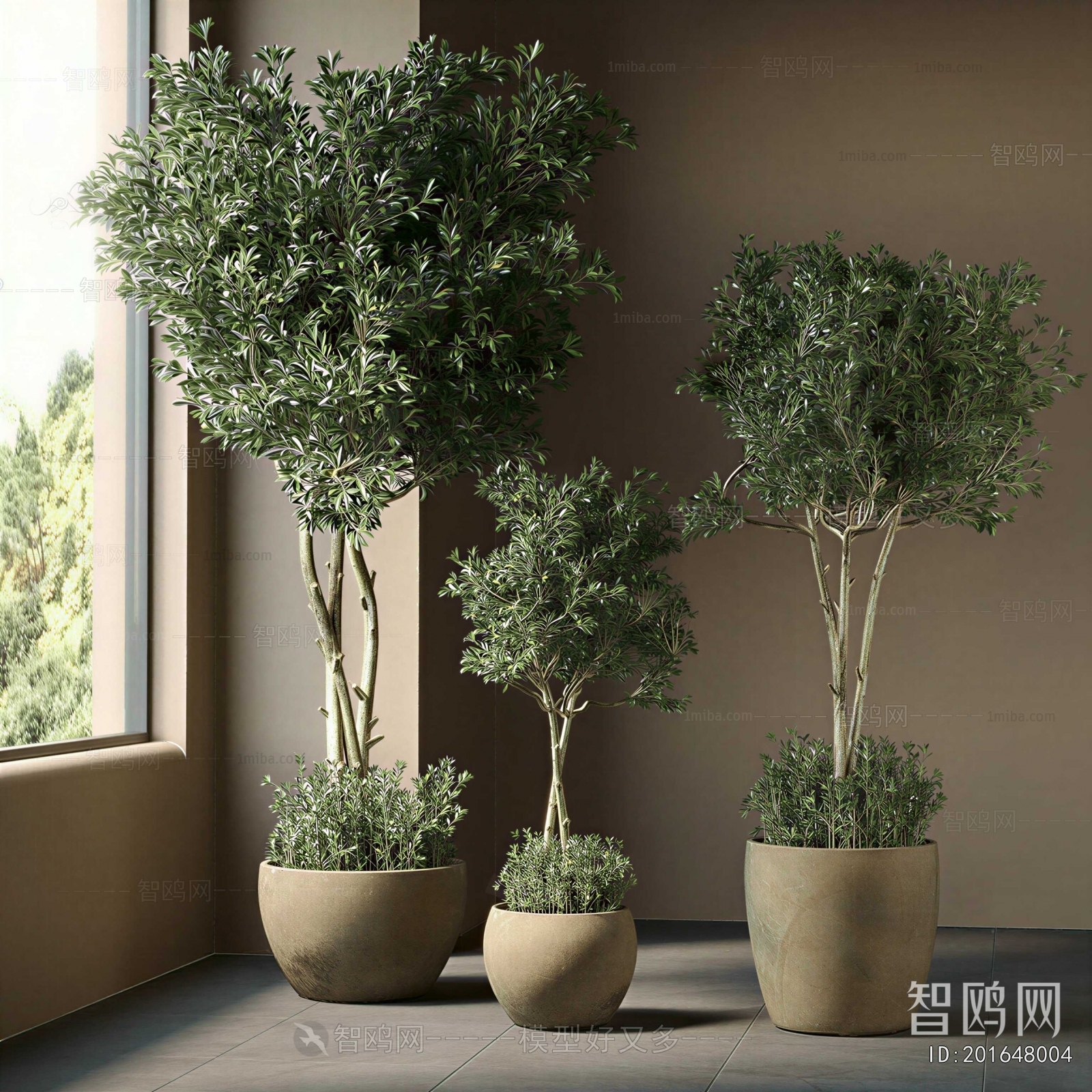Modern Ground Green Plant Potted Plants